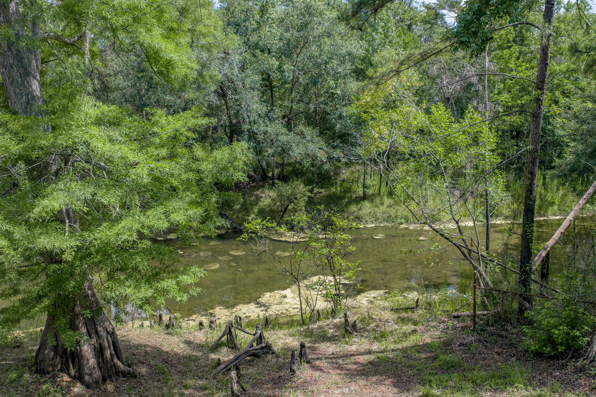 33065 CEDONIA RD