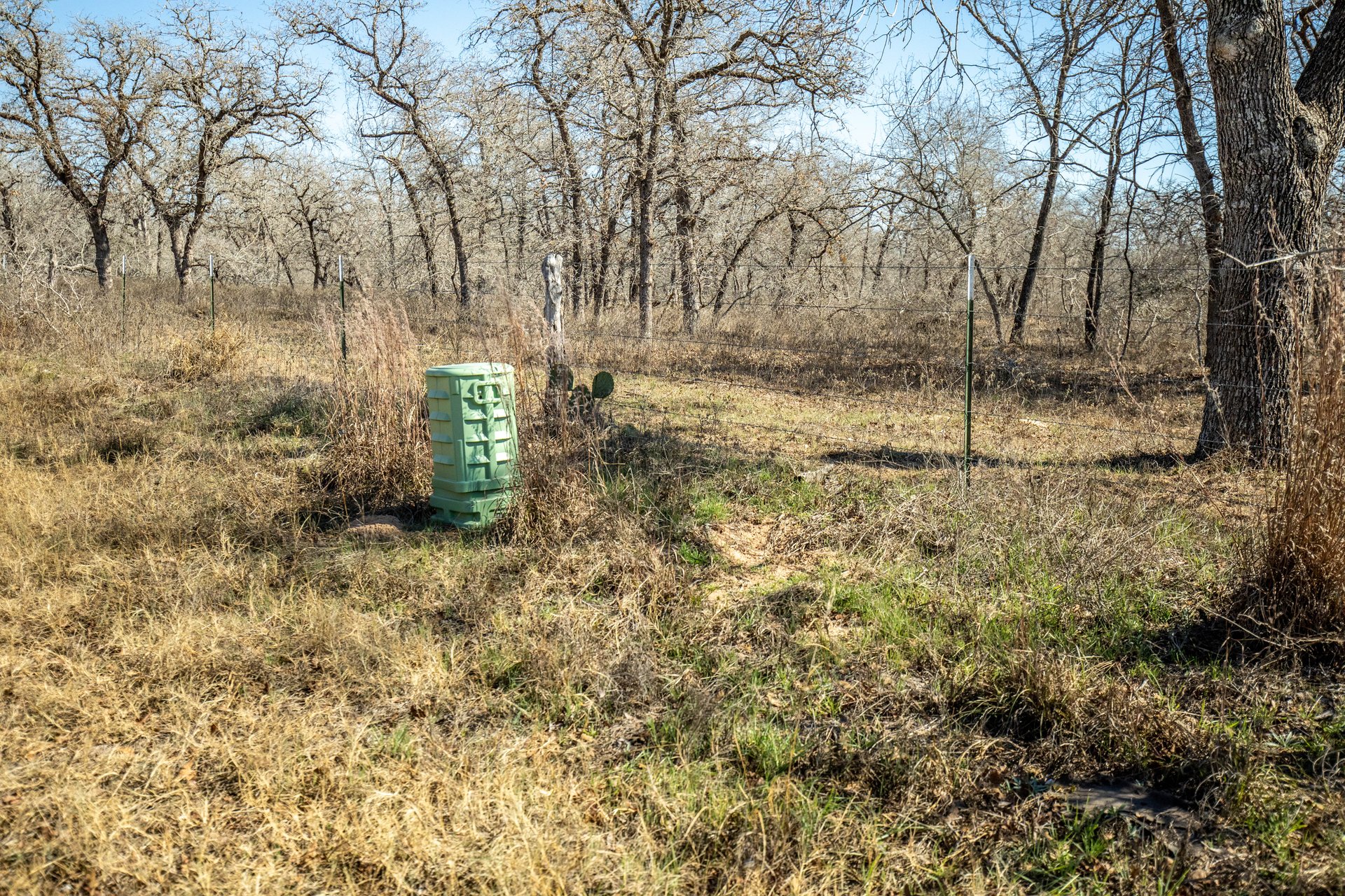 Whispering Pines Floresville Ranch | 298± Acres | Wilson County
