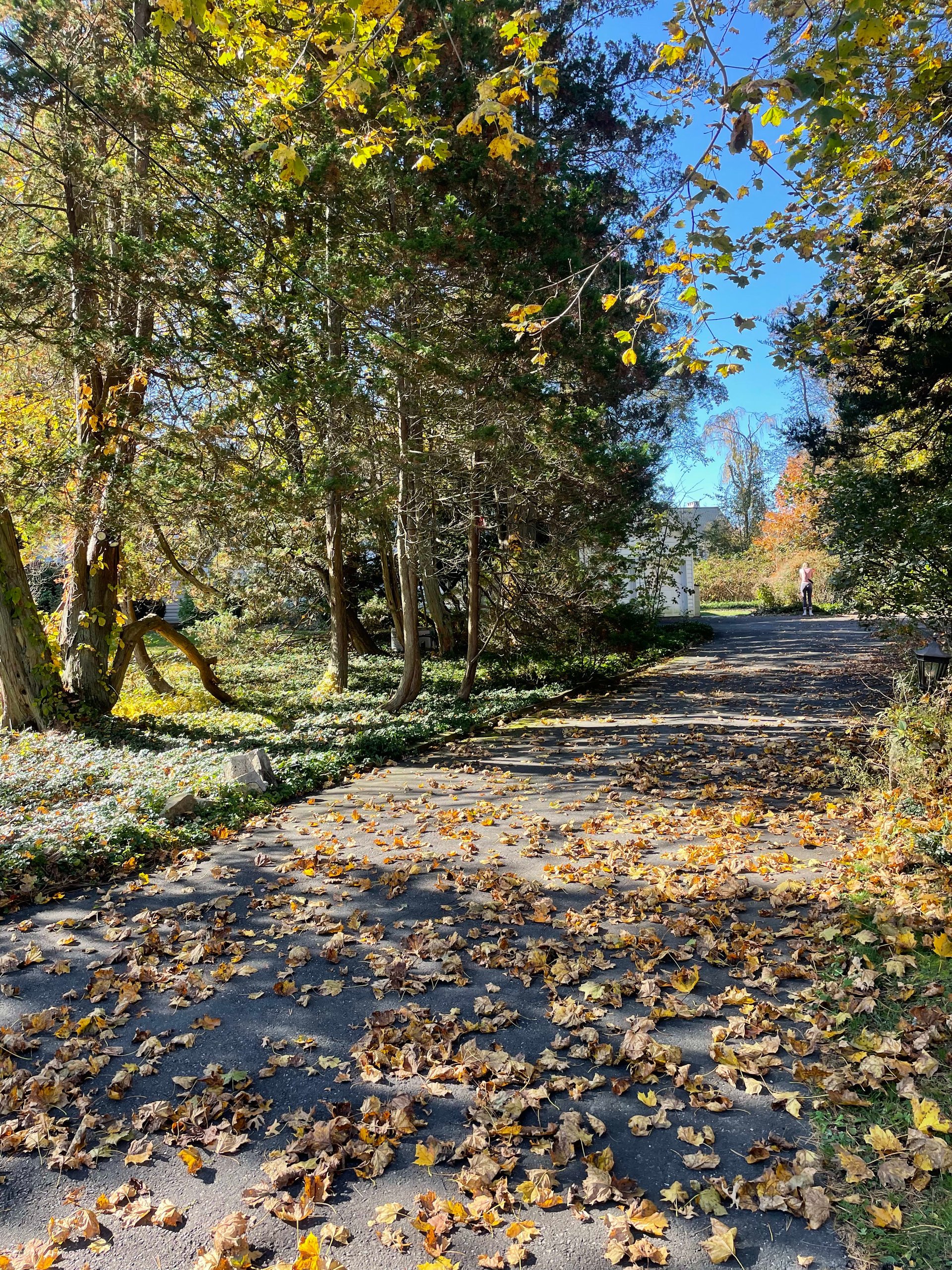 13 Fairfield Court, Ridgefield, CT