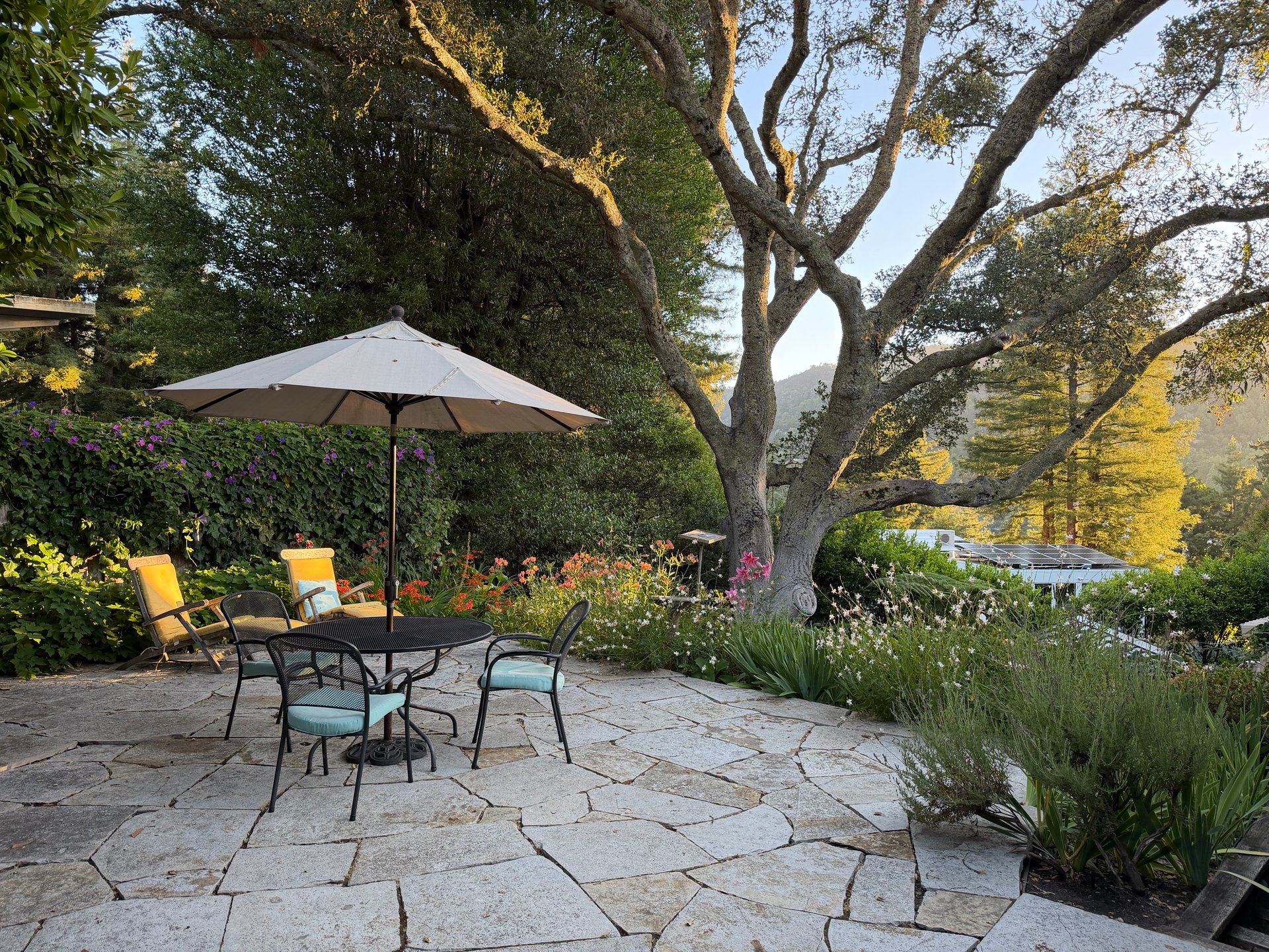 Mill Valley Legacy Property
