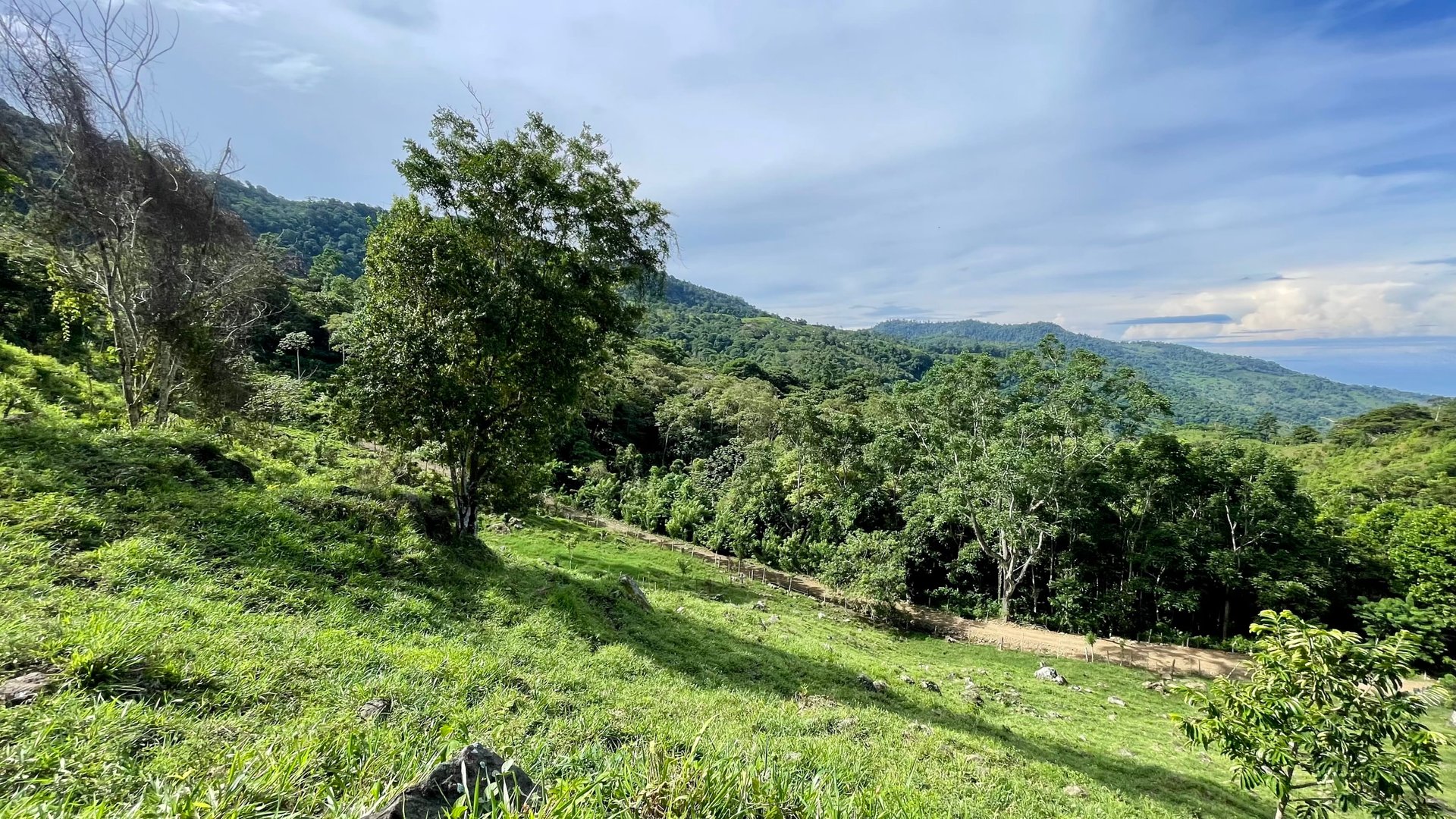 FIRE SALE!! Ocean View Farm in San Luis de Morete, Over 23 Acres
