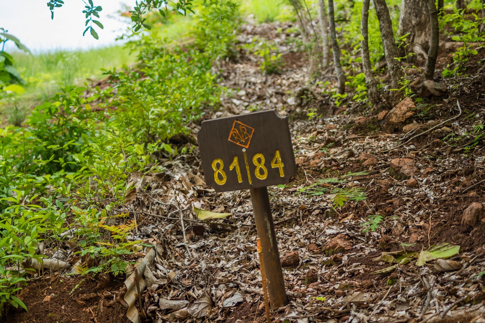 Lot 81, Rancho Villareal