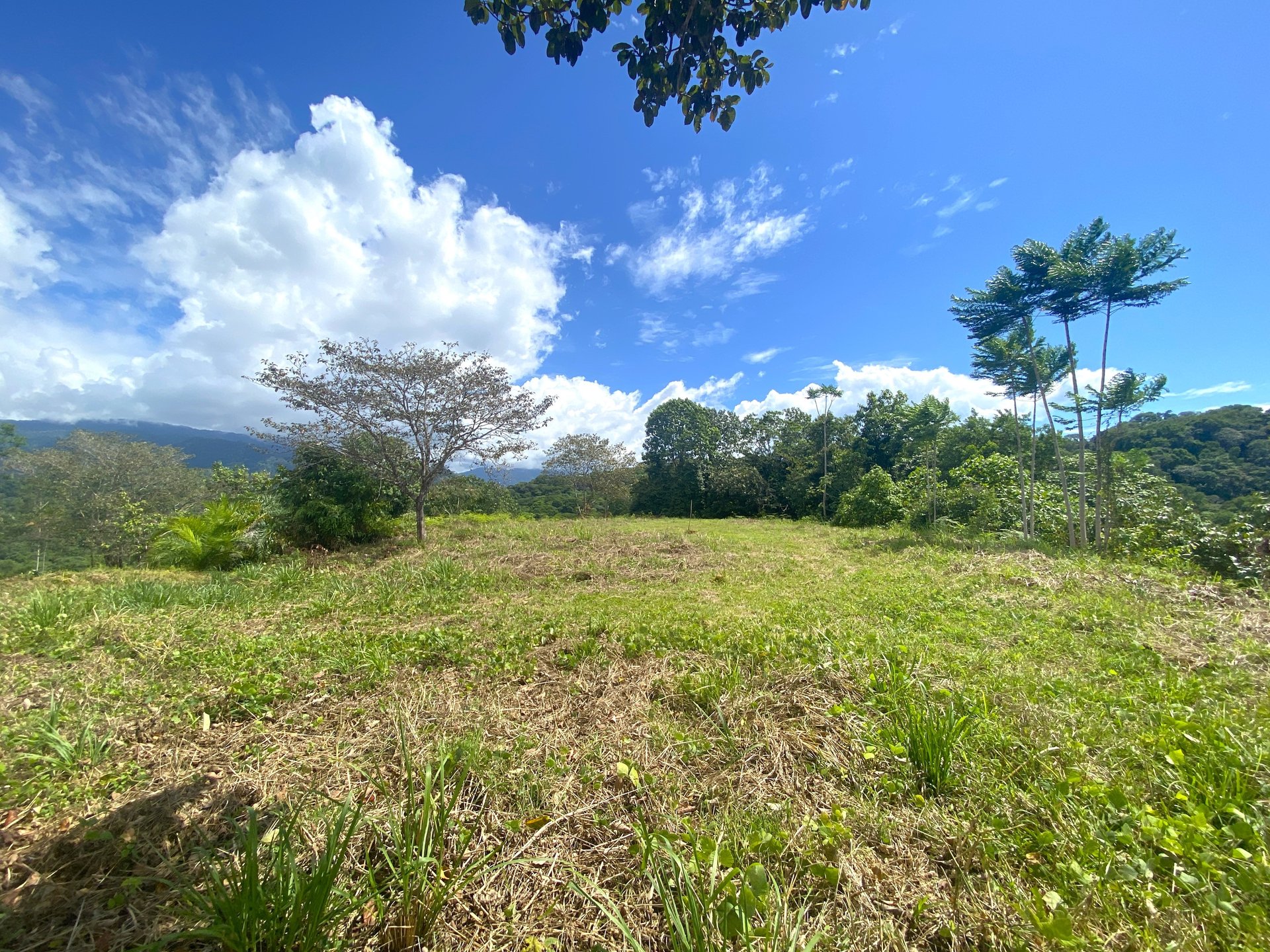 3.41 Acres, Ocean View Property In Ojochal With Legal Water!