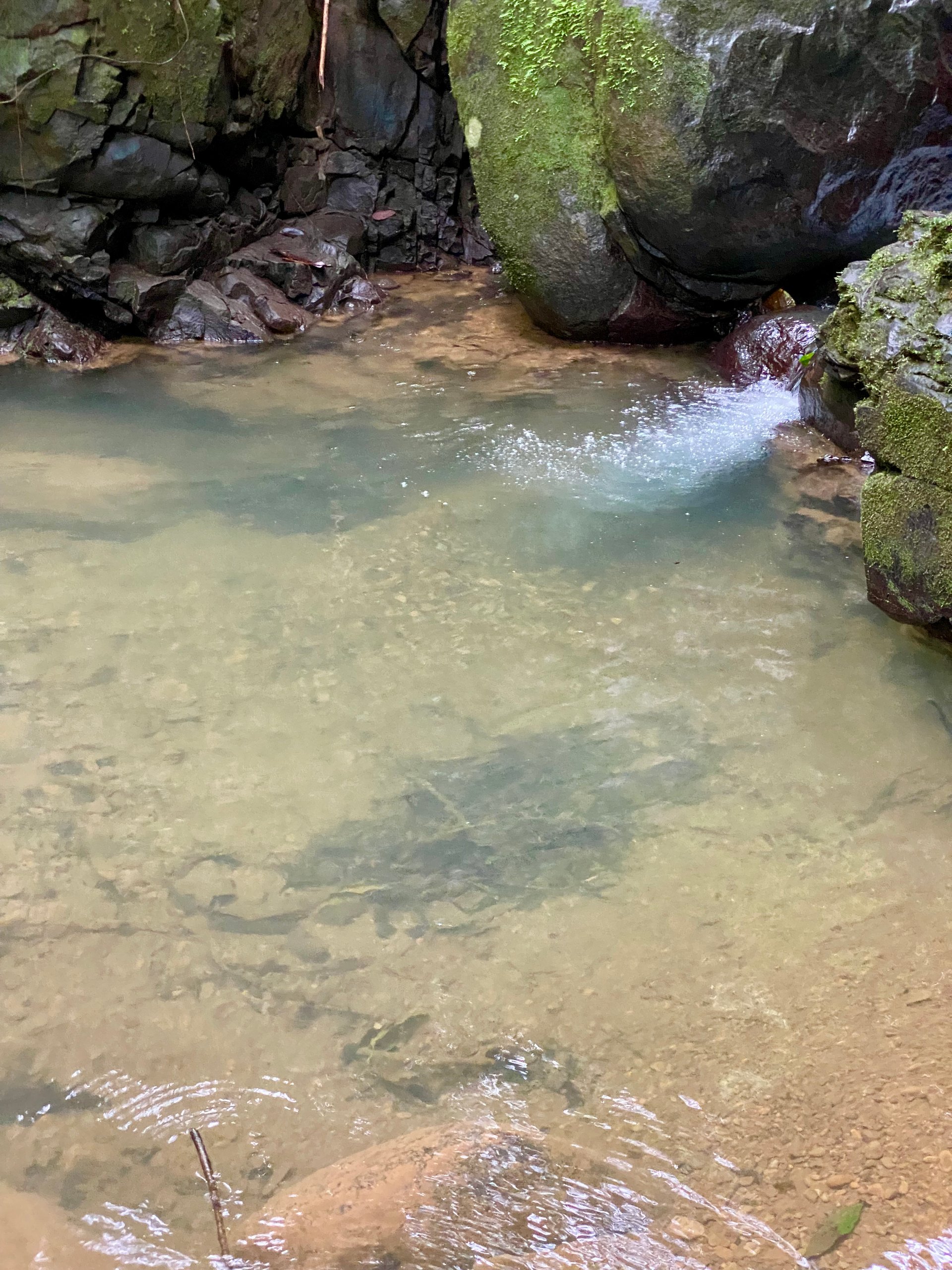 Spectacular 70 Acre Multiple Waterfall Property with Dramatic Views Near Ojochal