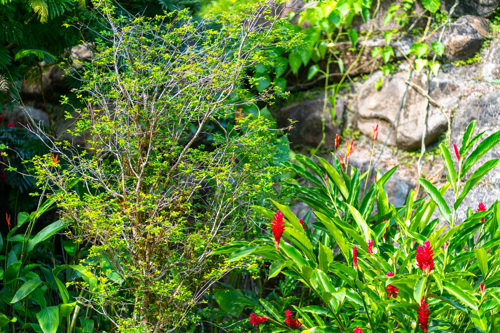 Villa Bali Breeze at Luxury Villa Estates