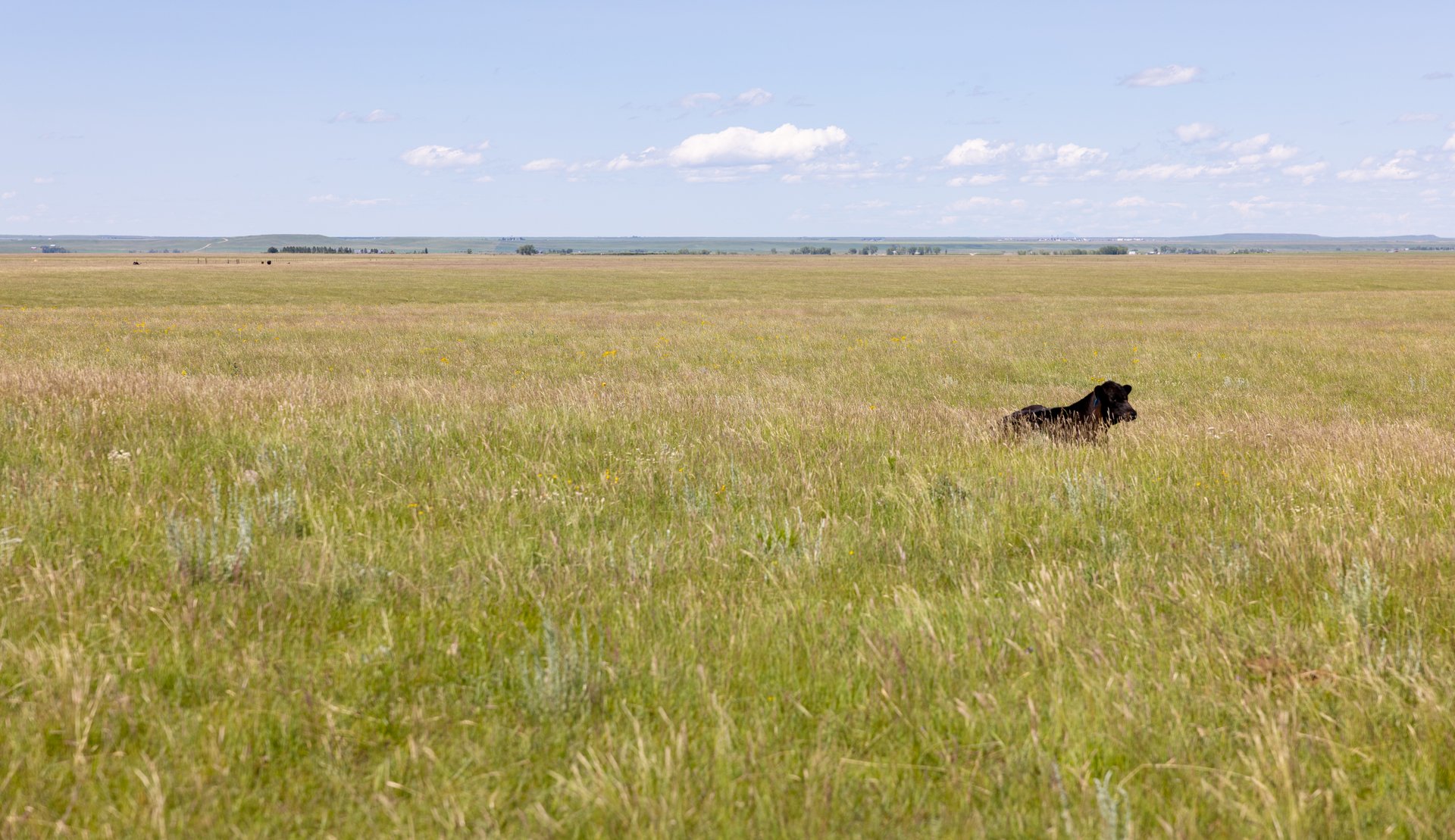 Hauck Coulee Ranch