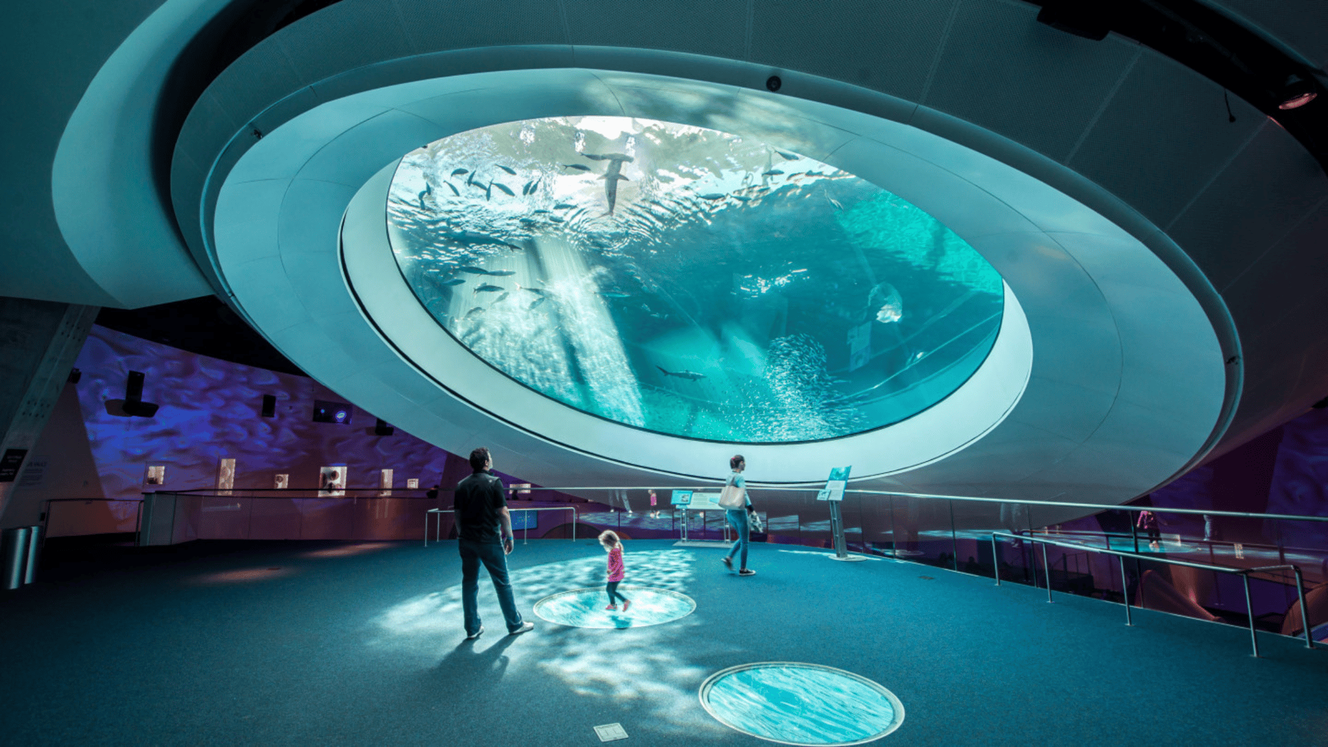 The Edit Real Estate Miami guide featuring spectacular circular aquarium with underwater marine life viewing and visitors enjoying interactive exhibits