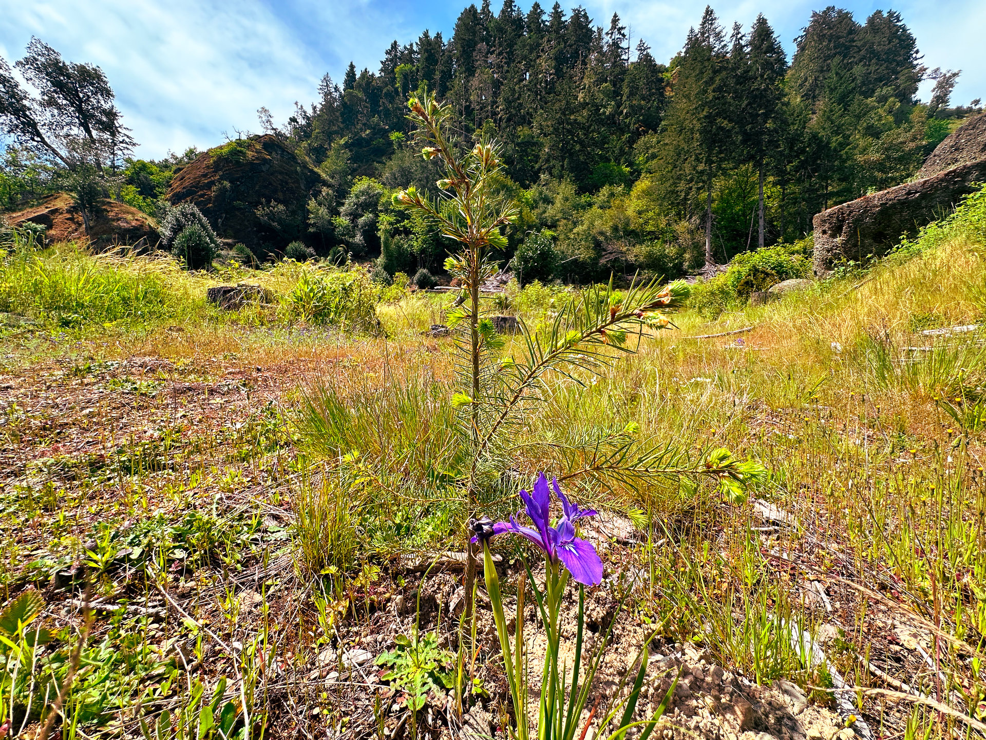 STRICKLAND CANYON HOMESITE