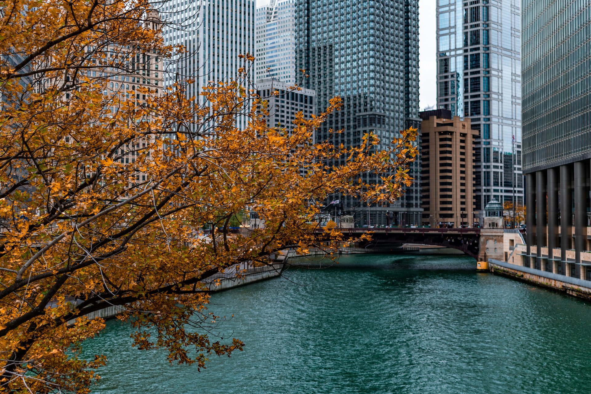 Chicago weekend events