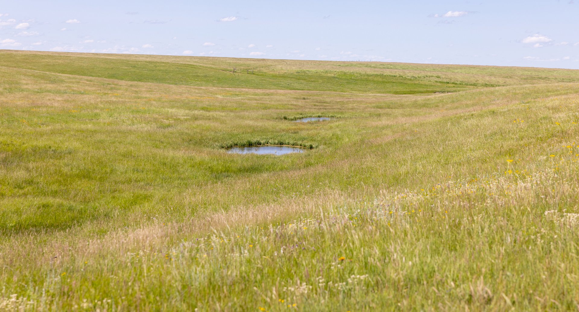 Hauck Coulee Ranch