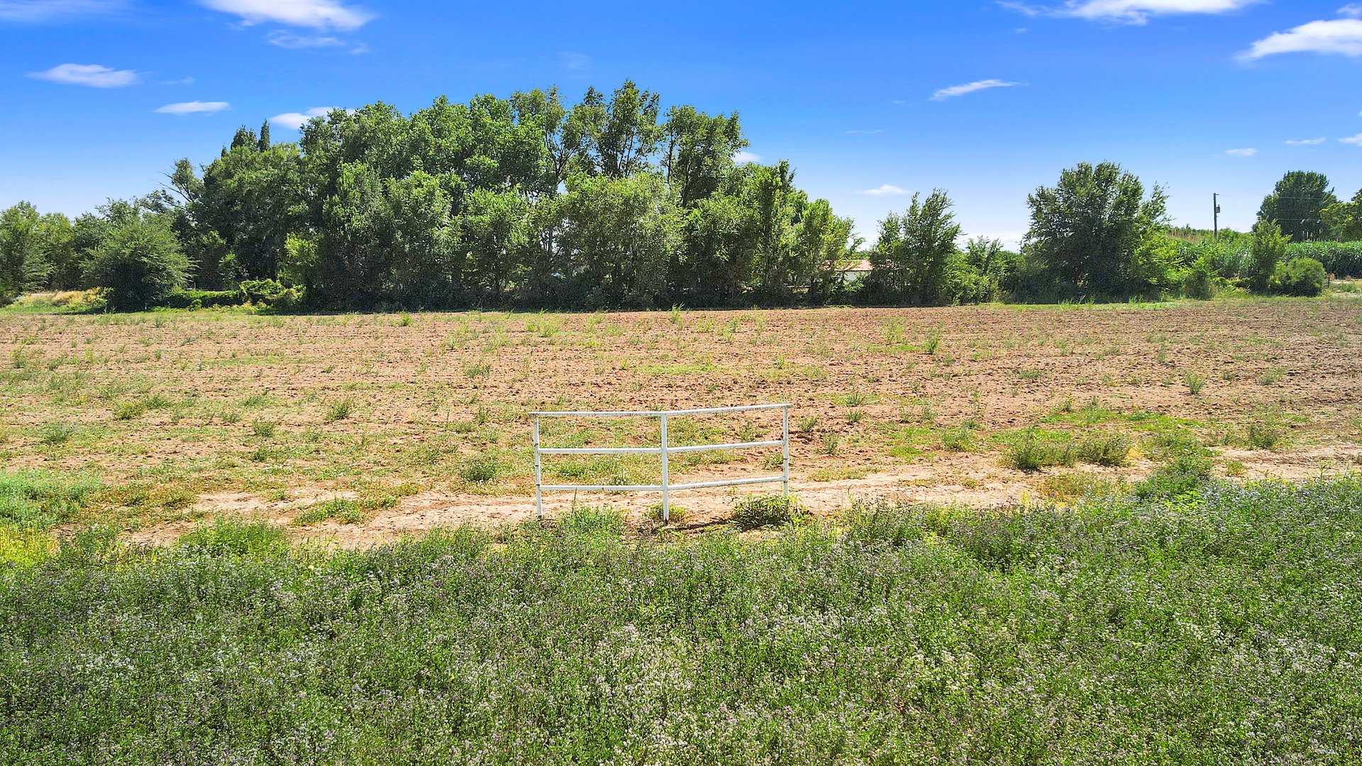 Pre 1907 Water Rights Farm Property