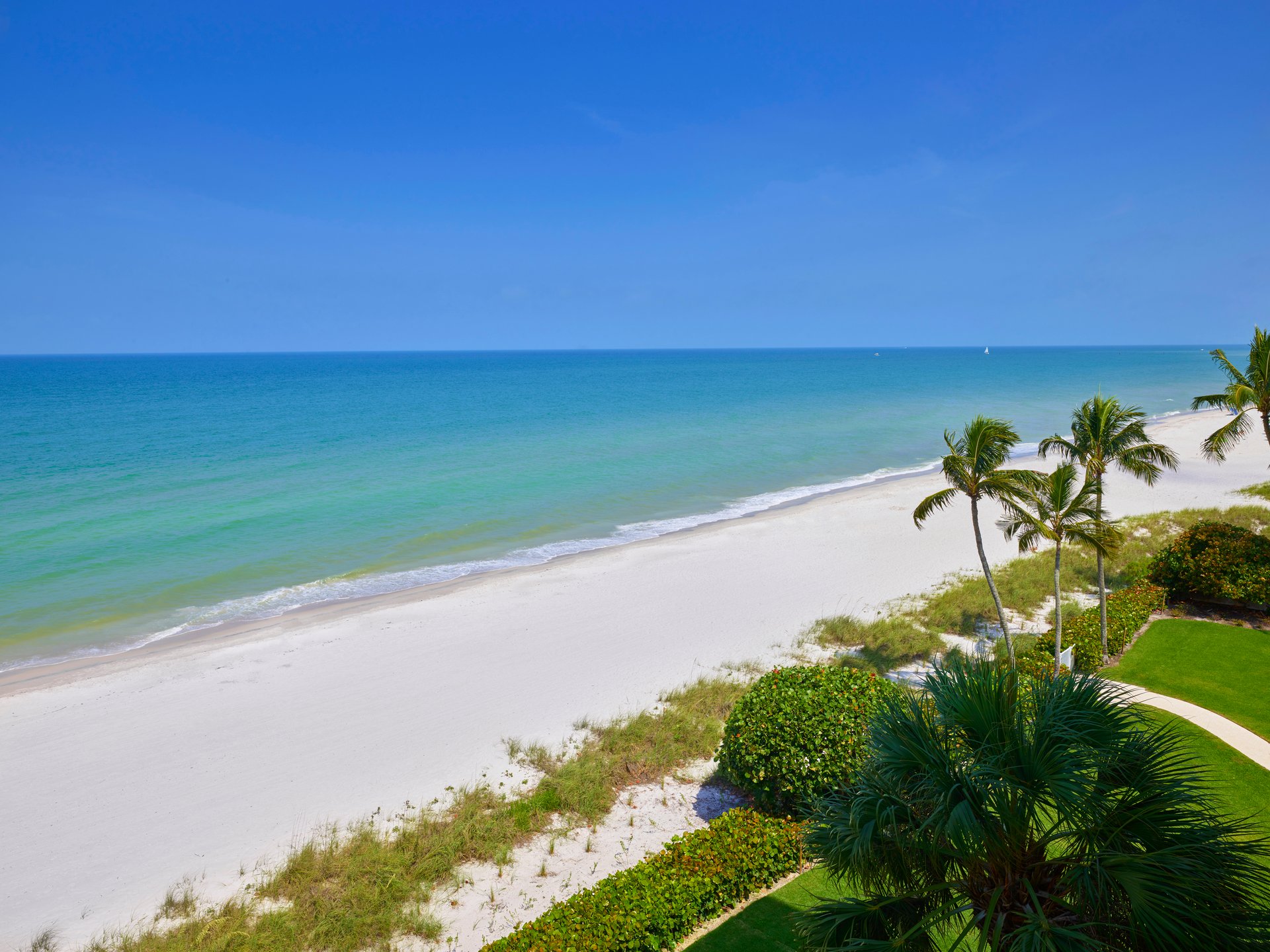 COQUINA SANDS