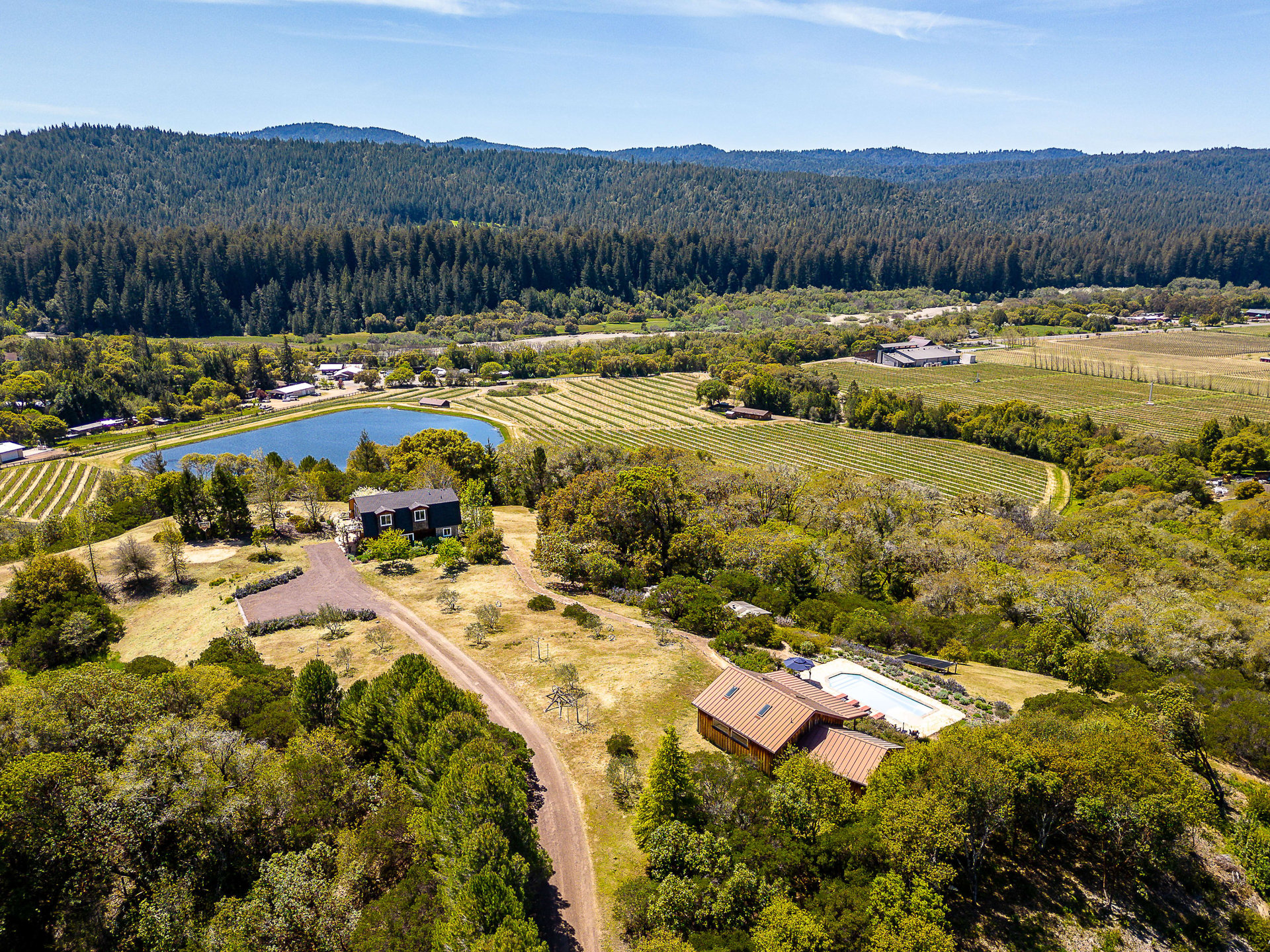 The C Ranch 