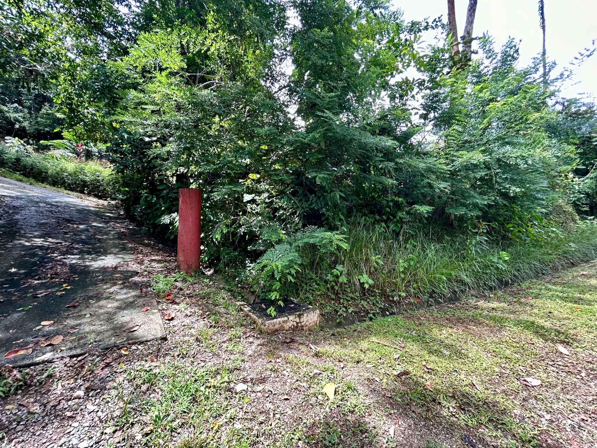Secret Paradise Property in Altos de la Colonia