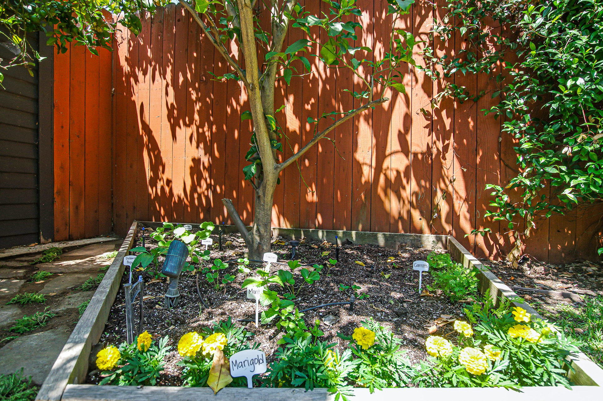 BEAUTIFUL & BRIGHT circa-1920's Craftsman "Cal-Bungalow" Home in Larchmont Village.
