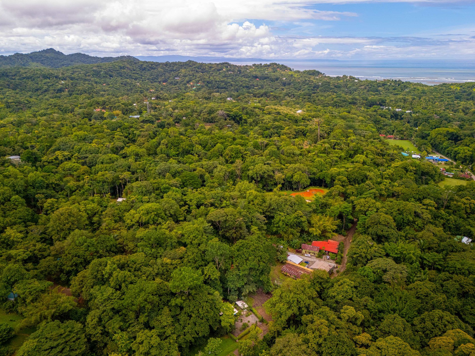 Tropical Tiny House + Pool + Proven Rental