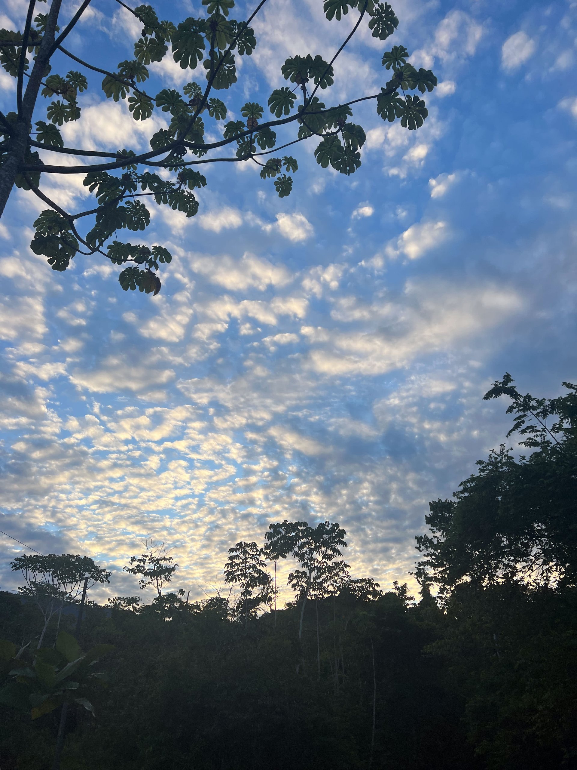  Affordable & Charming 1 bedroom Villa with Pool in gated community, immersed in the rainforest close to Quepos  