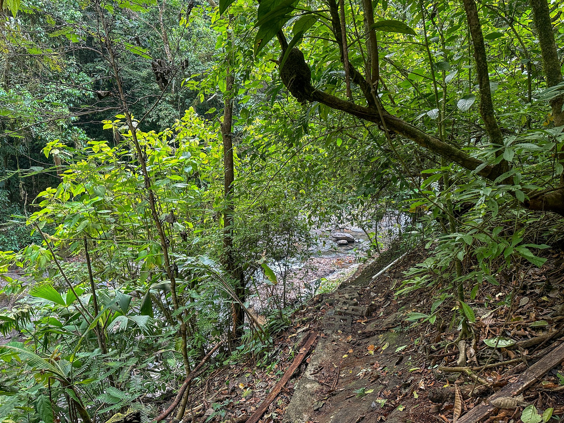 Jungle, Mountain & Valley View Lot with Two Large Plantels, Bordering a Crystal Mountain River with Swimholes & a Waterfall