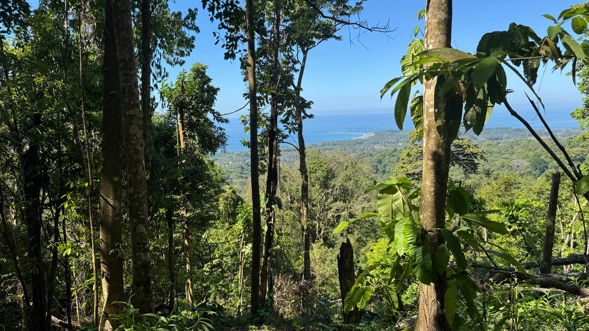 Front-Row Ocean View Lot in the Exclusive Mountains of La Unión
