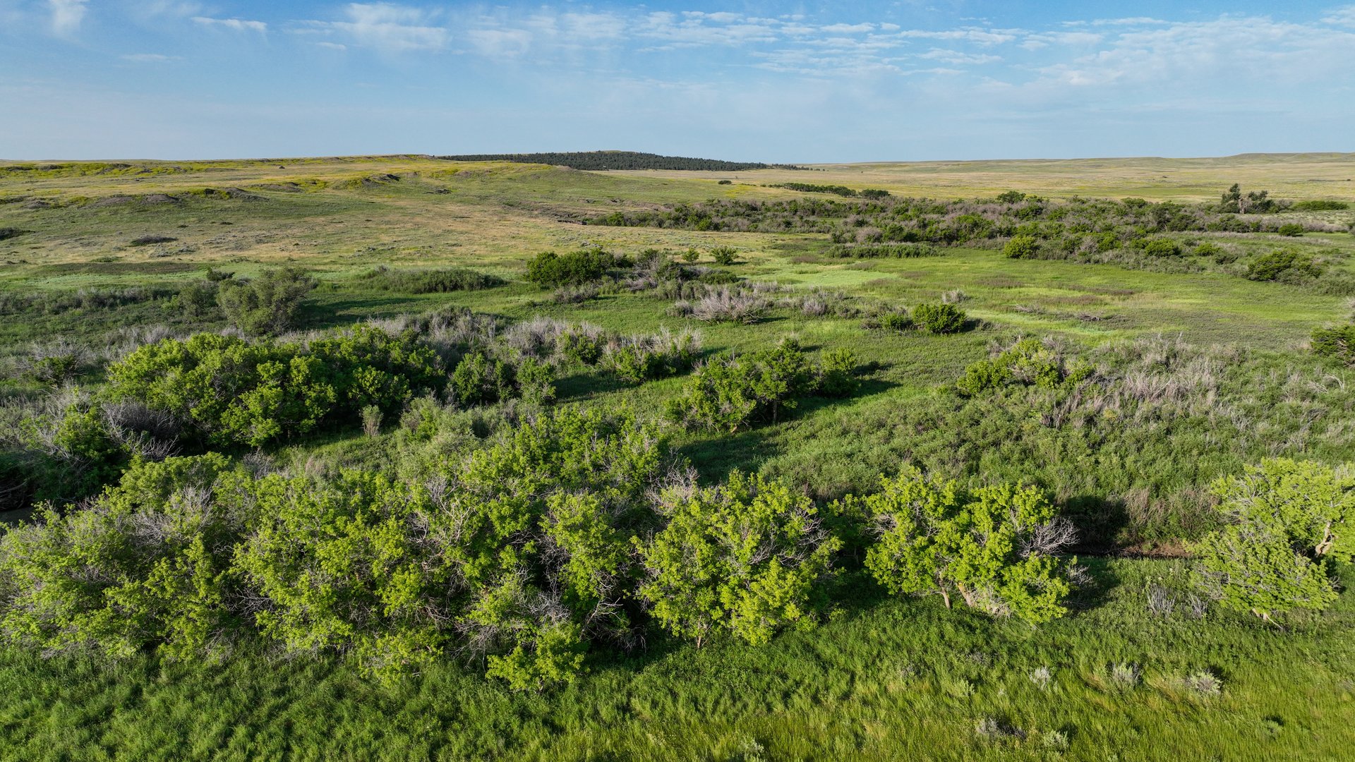 Covey Rise Ranch