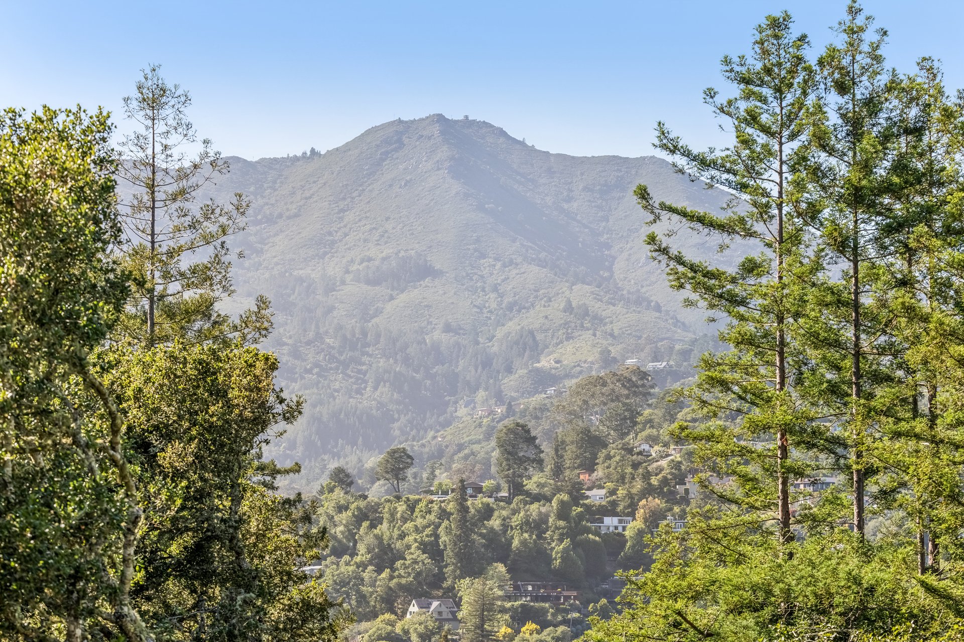183 Molino Avenue, Mill Valley