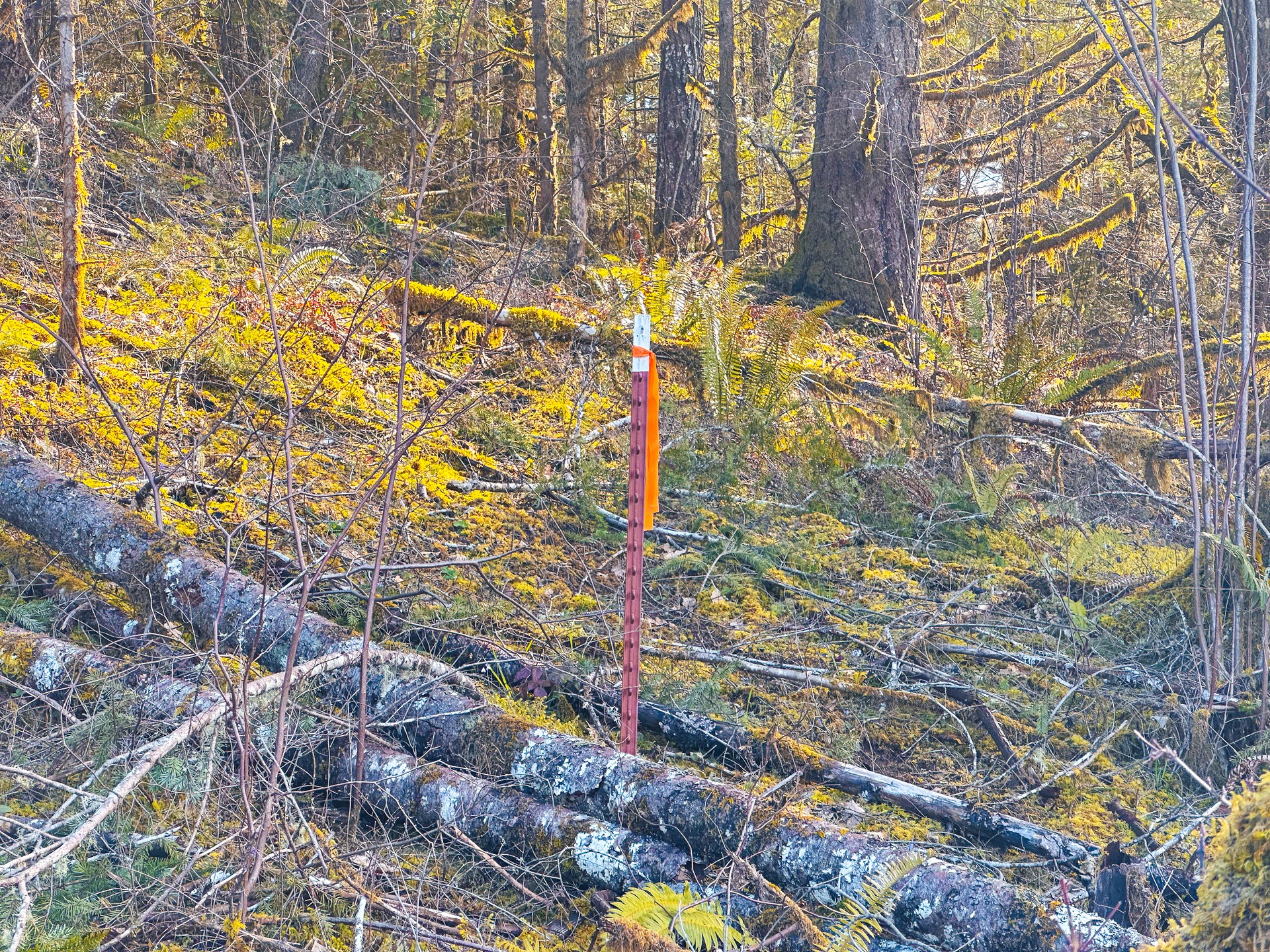 Sharewater Homesite