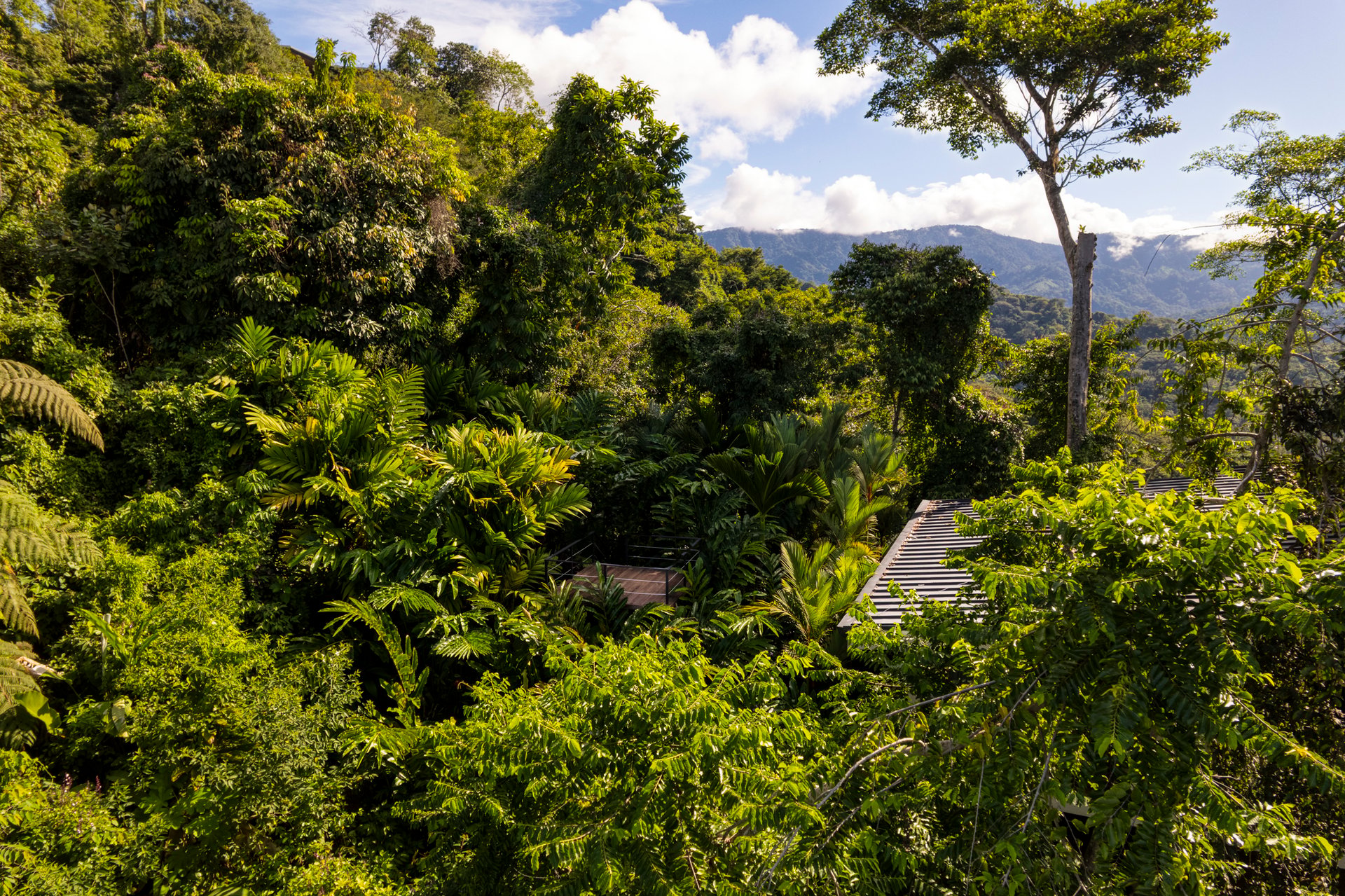 Casa Vista Verde Uvita, Costa Rica