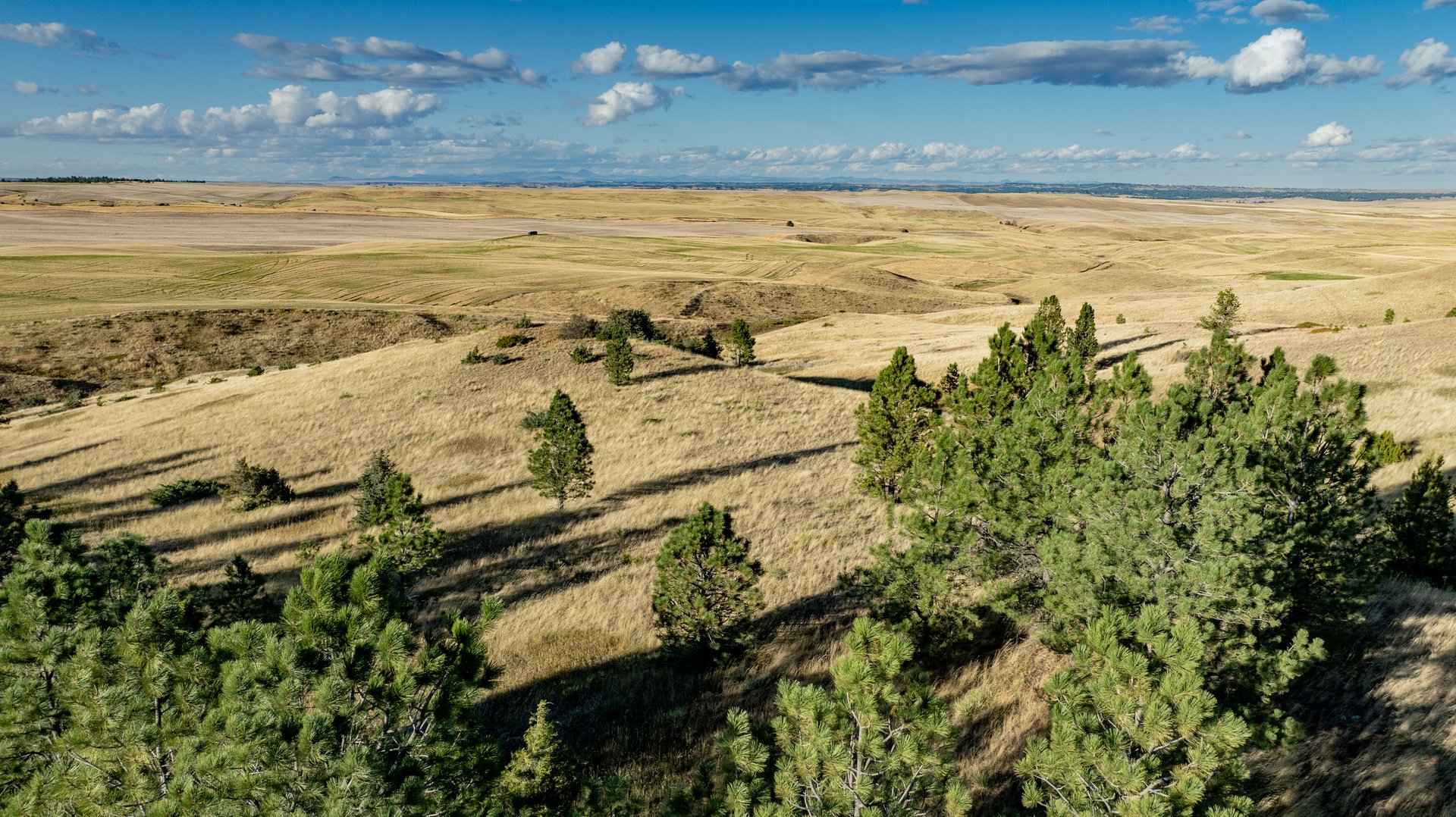 Salt Creek Ranch