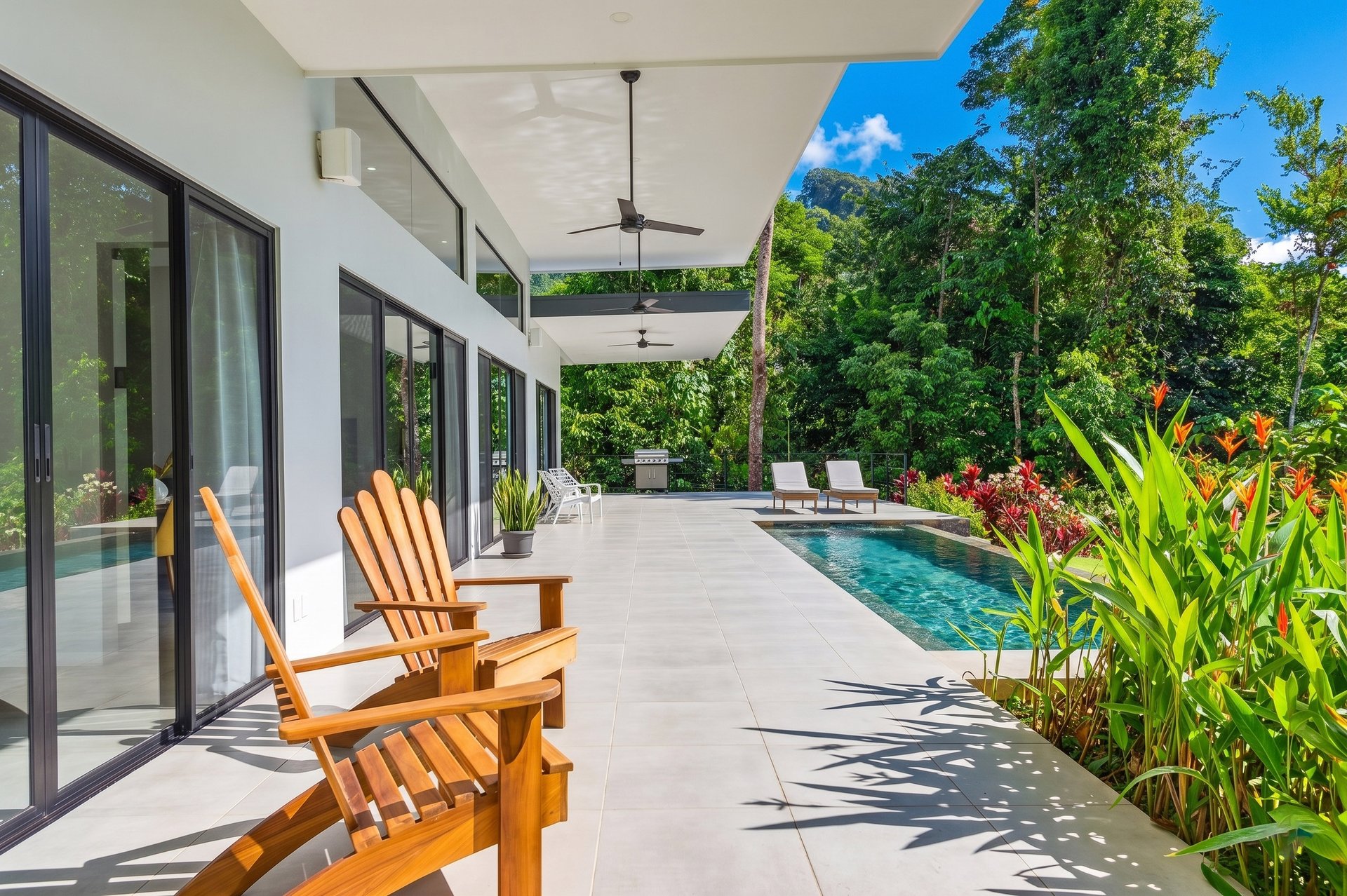 The Ocean View Sanctuary at Casa Delphines