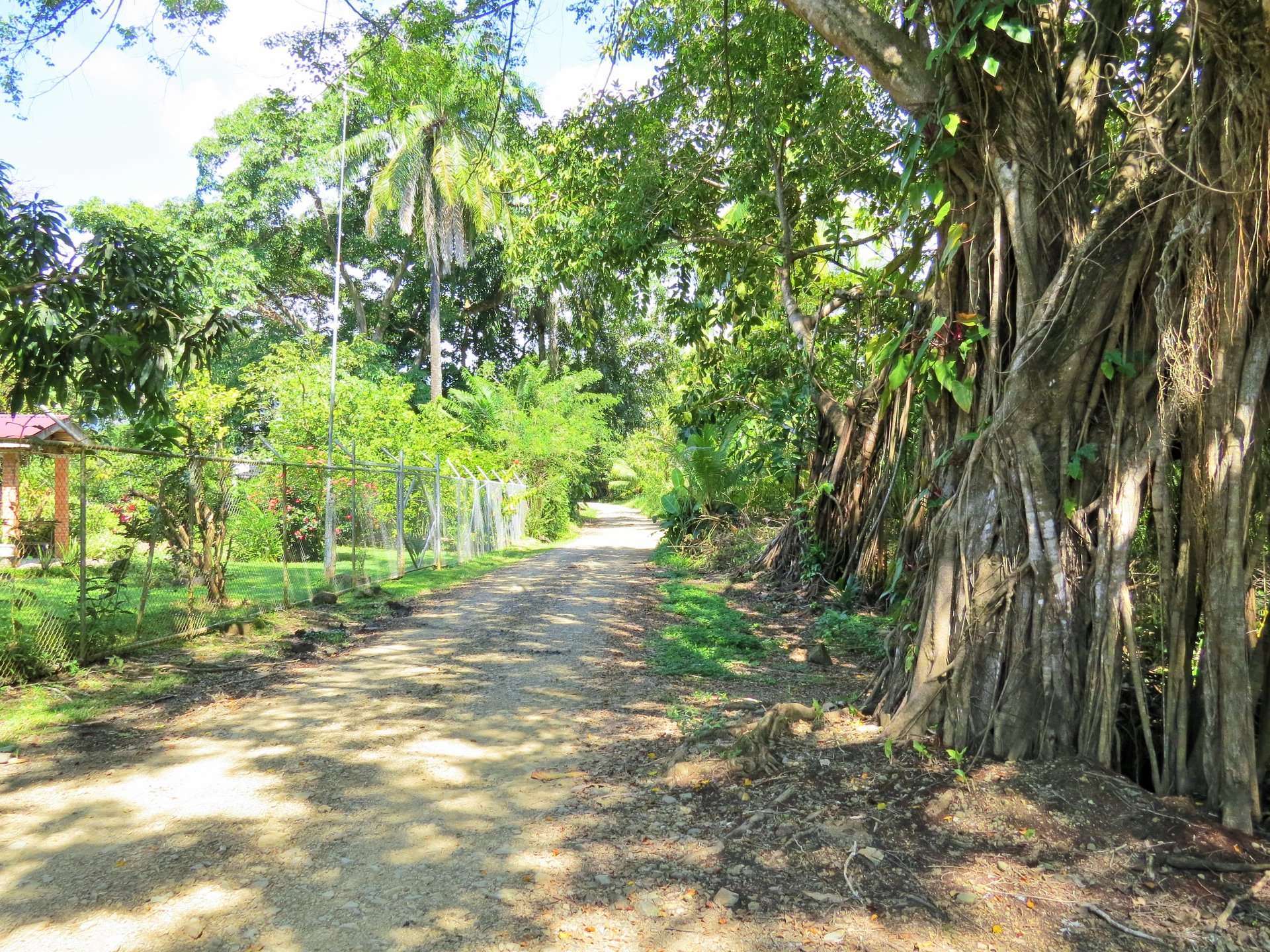 Fully equipped 4 Unit Apartment/Hotel complex 70 meters from the entrance to world-famous Marino Ballena National Park