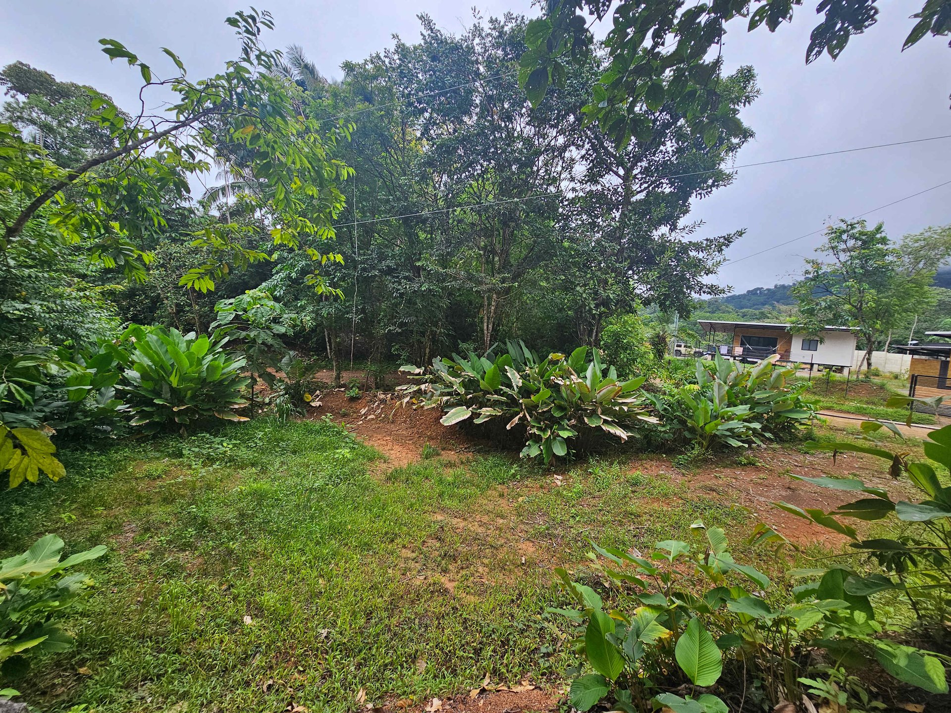 Discover Your Dream in Uvita's Prime Real Estate