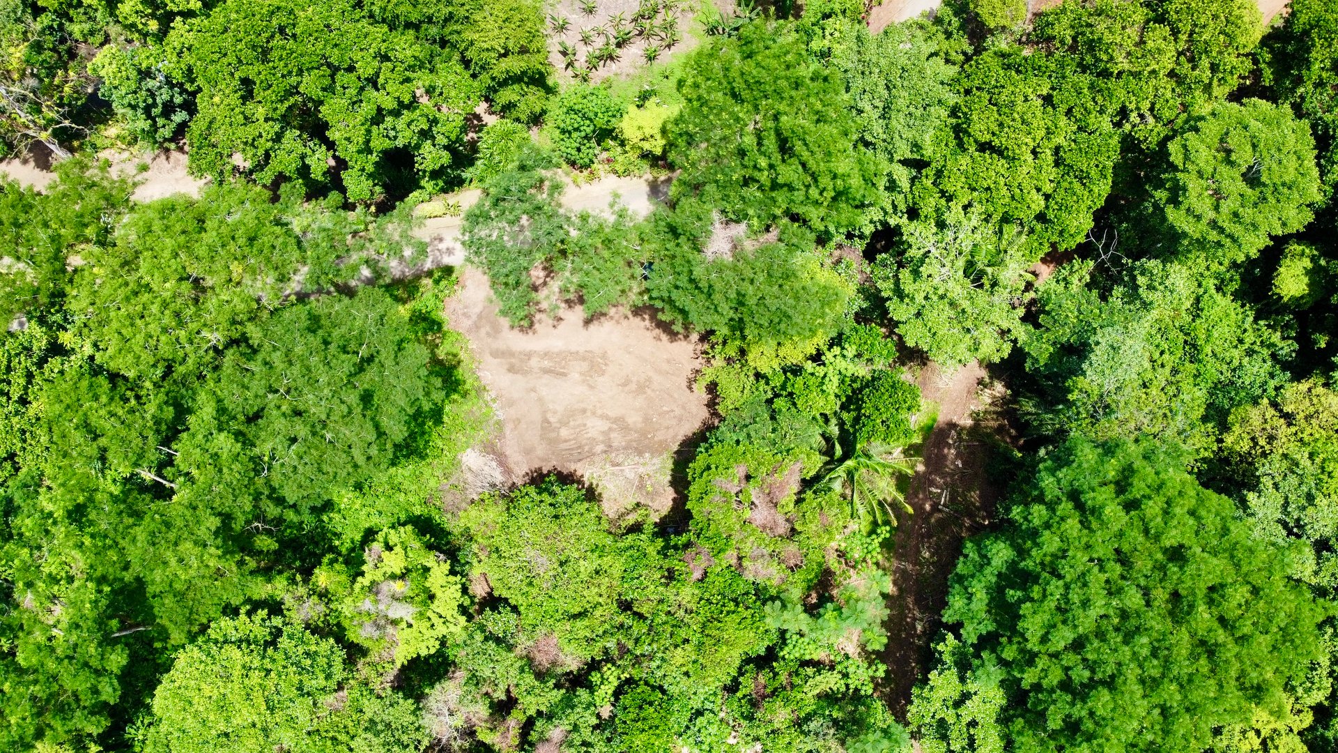 Ready-to-Build Land in San Antonio de Damas: 2,6-Acre with Terraces & Road Frontage