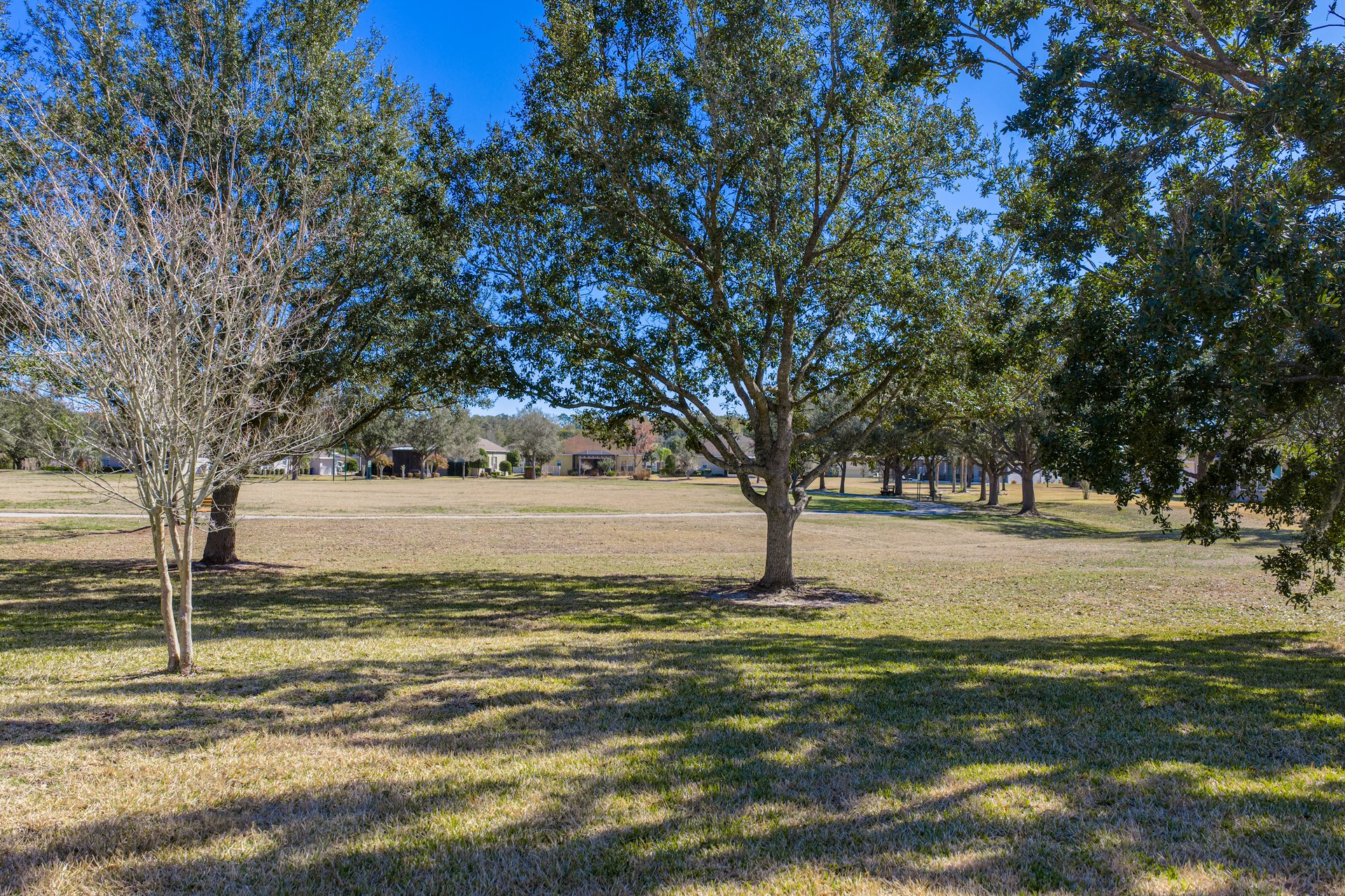 13322 TRAILING MOSS DR