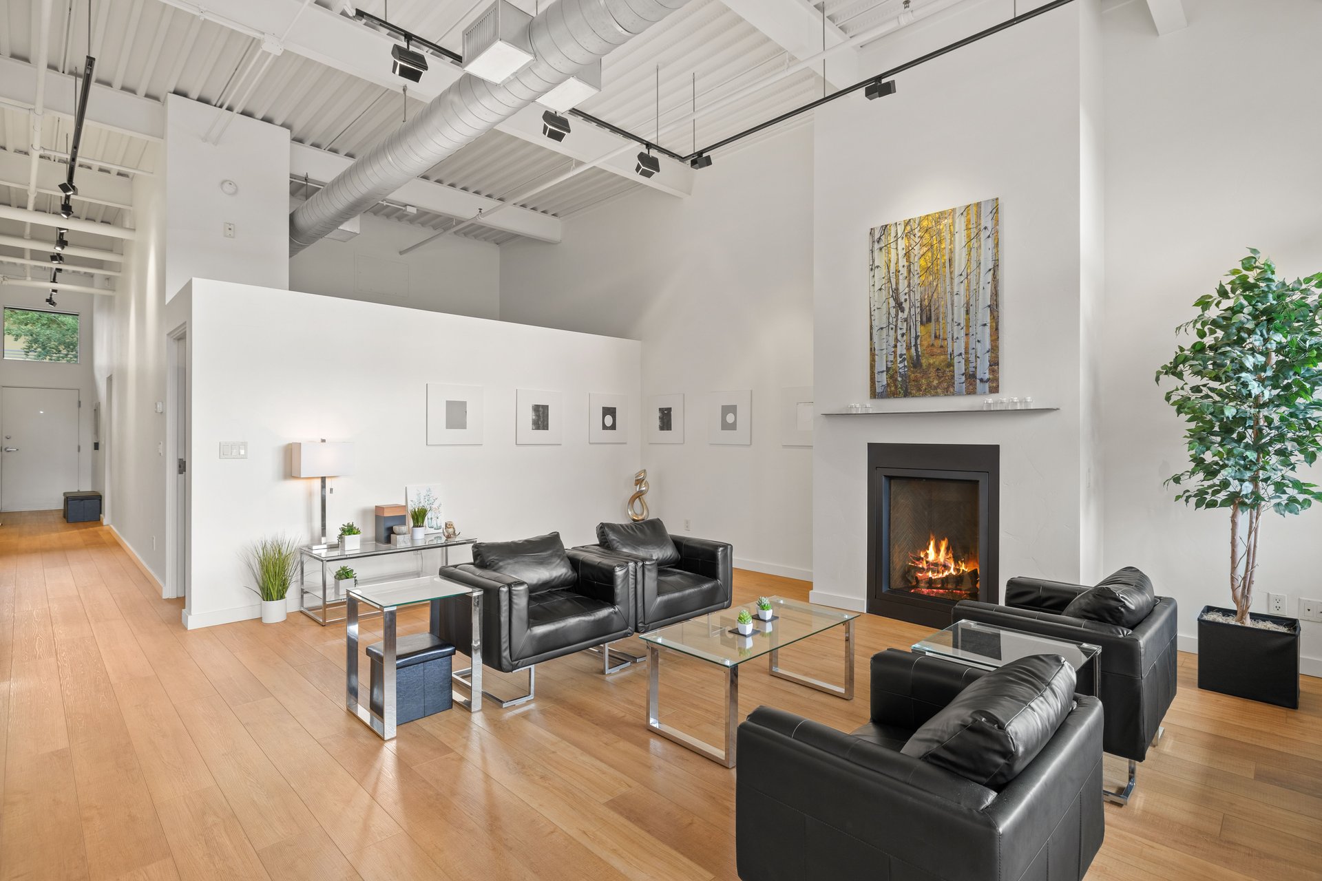 Triangle Lofts Gem