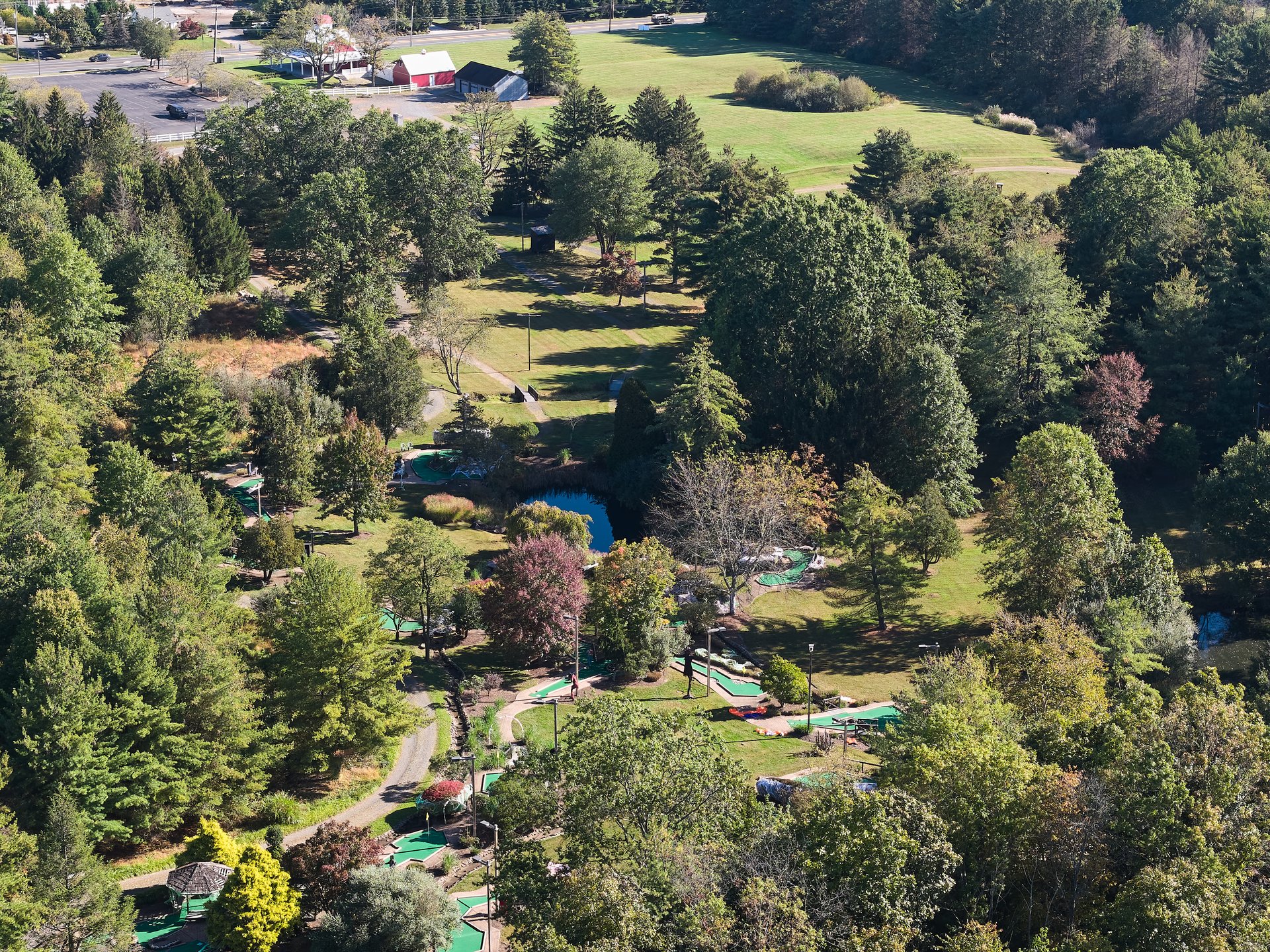 Pine Creek 