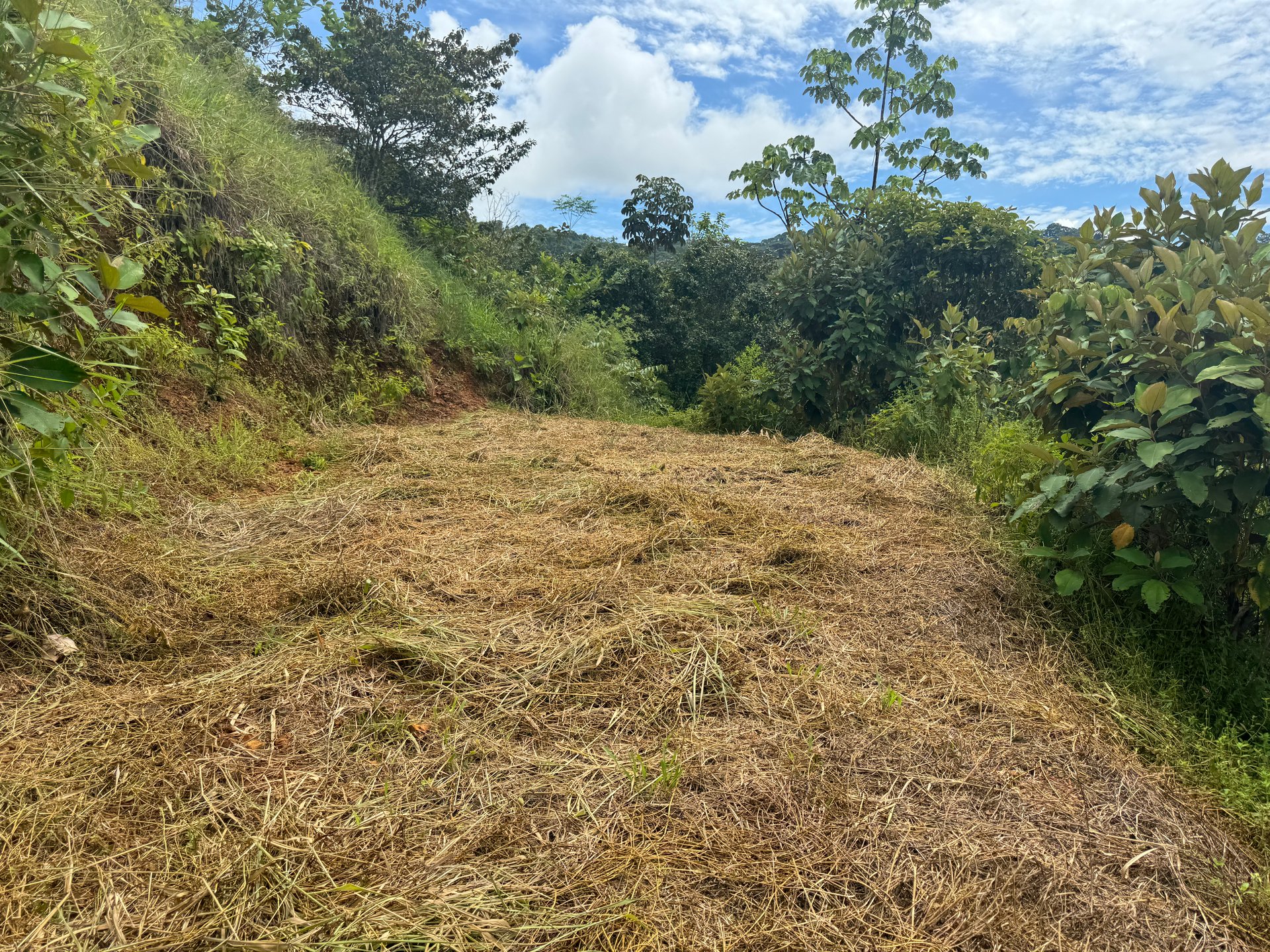 2.6 ACRES – 3 Bedroom Home With Beautiful Views, Several More Building Sites, Perfect For Small Farm!!!