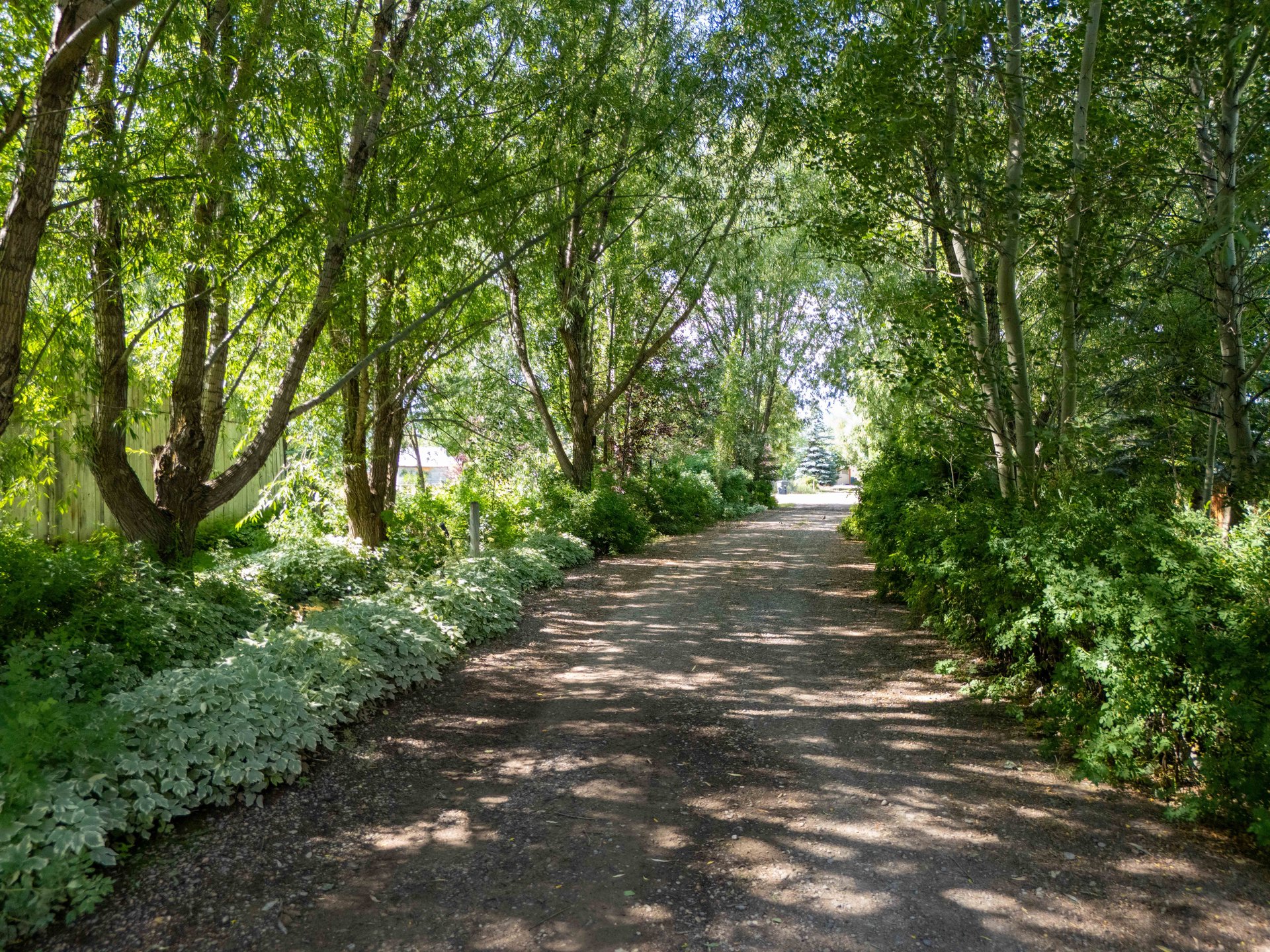 141 COUNTY ROAD 184