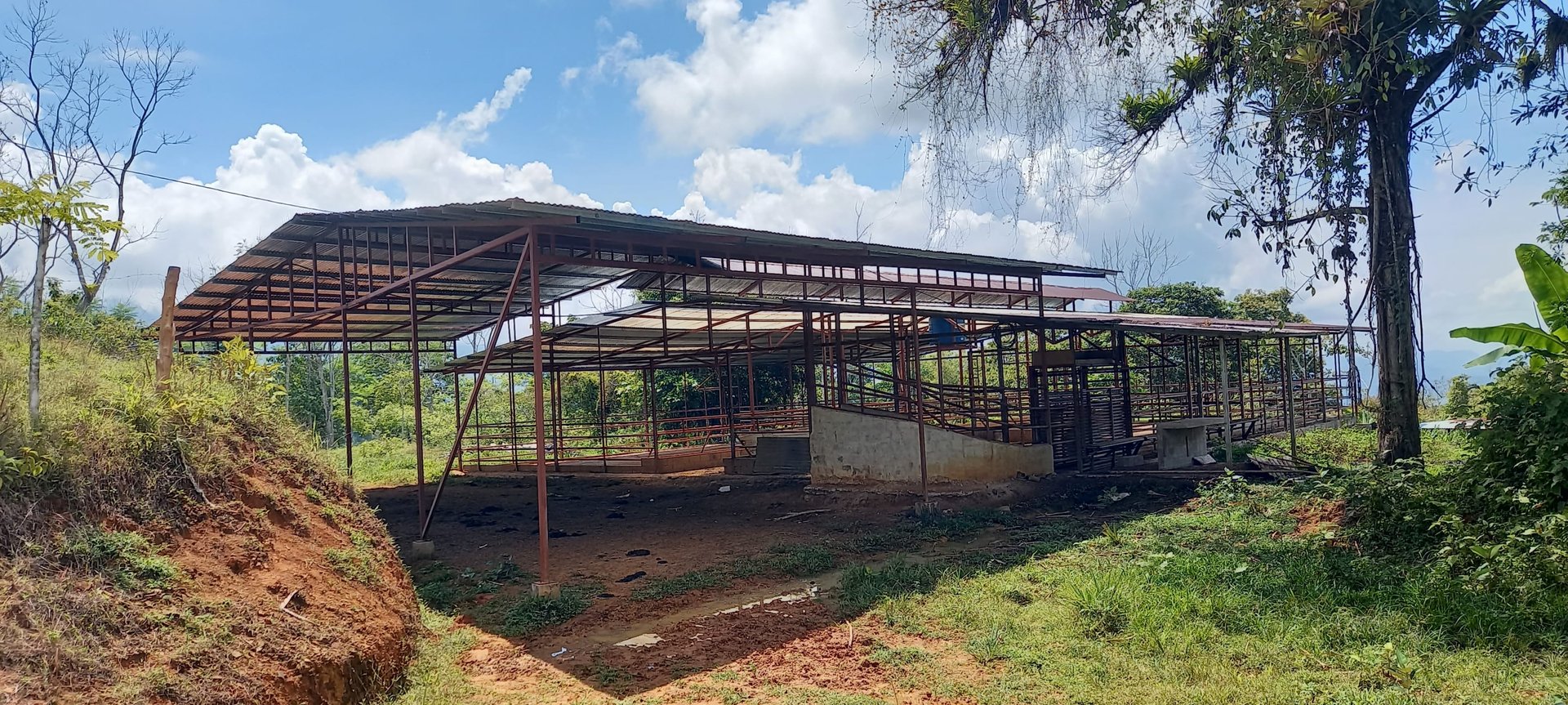 16.7 Acres At 3000 Feet, Fresh Air, Cano Island, Blue Pacific Views 