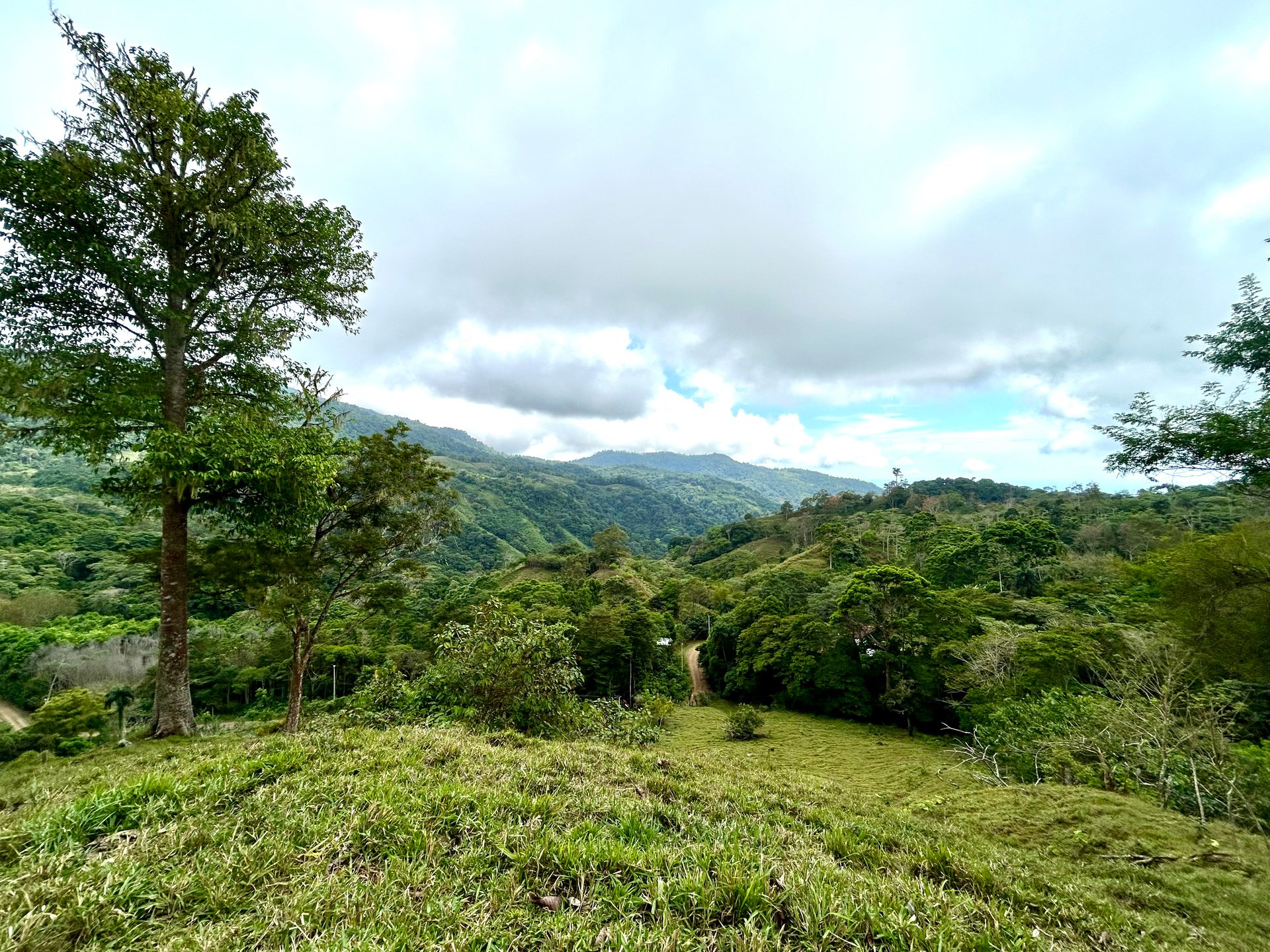 Gorgeous Land in San Luis Morete - Uvita - Over 17 Acres