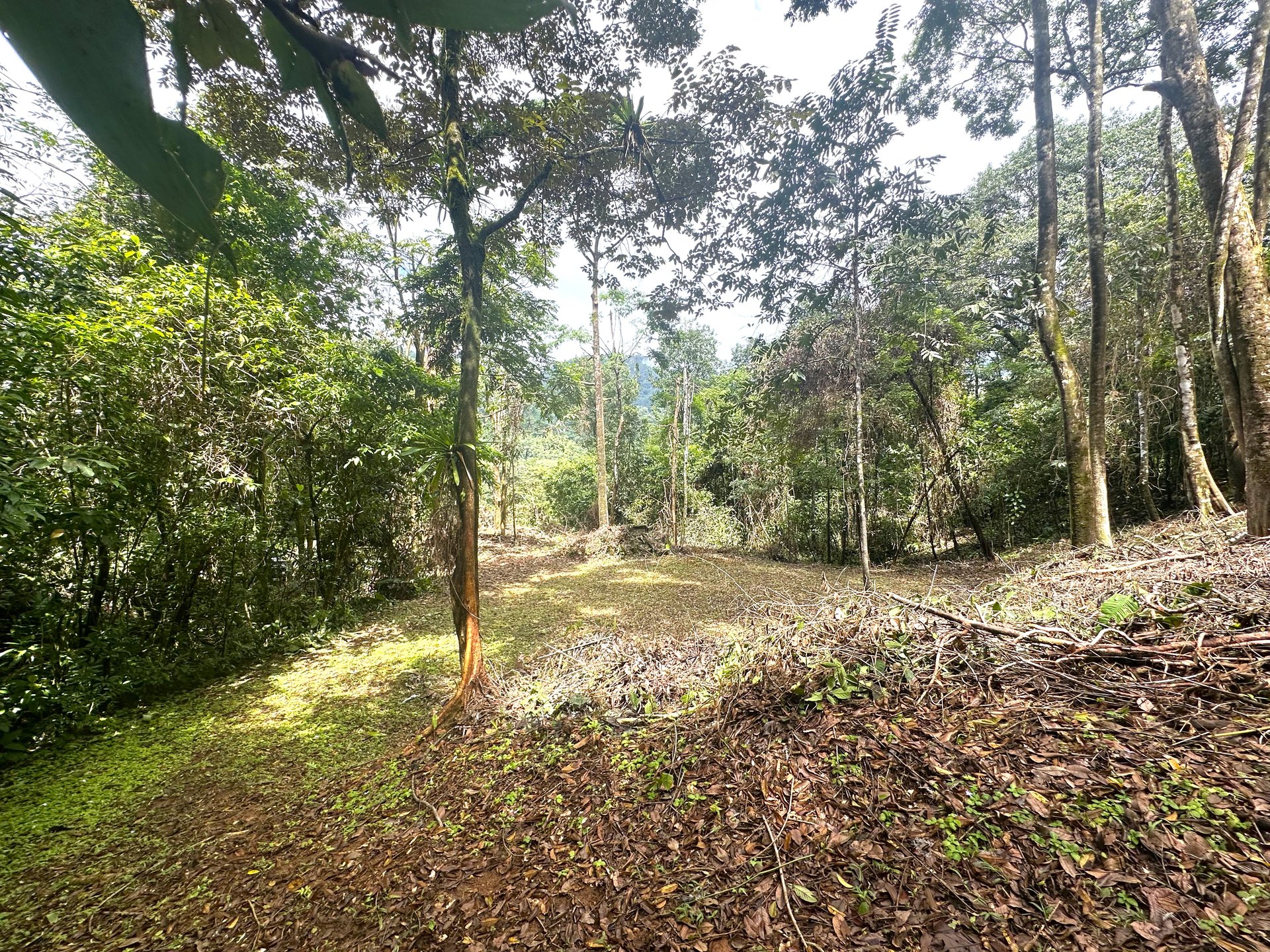 Mountain View Building Lot in Prestigious Gated Community With Private Waterfall & Two Building Sites