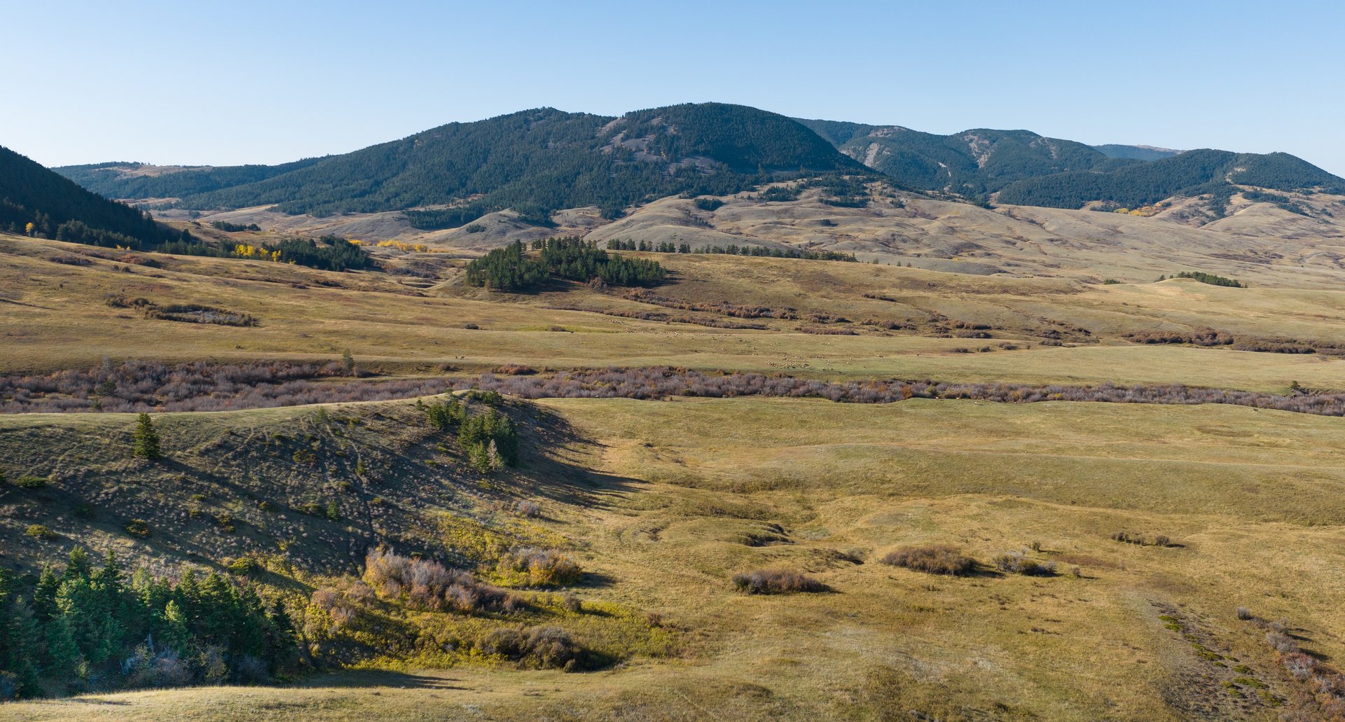 Box Elder Ranch