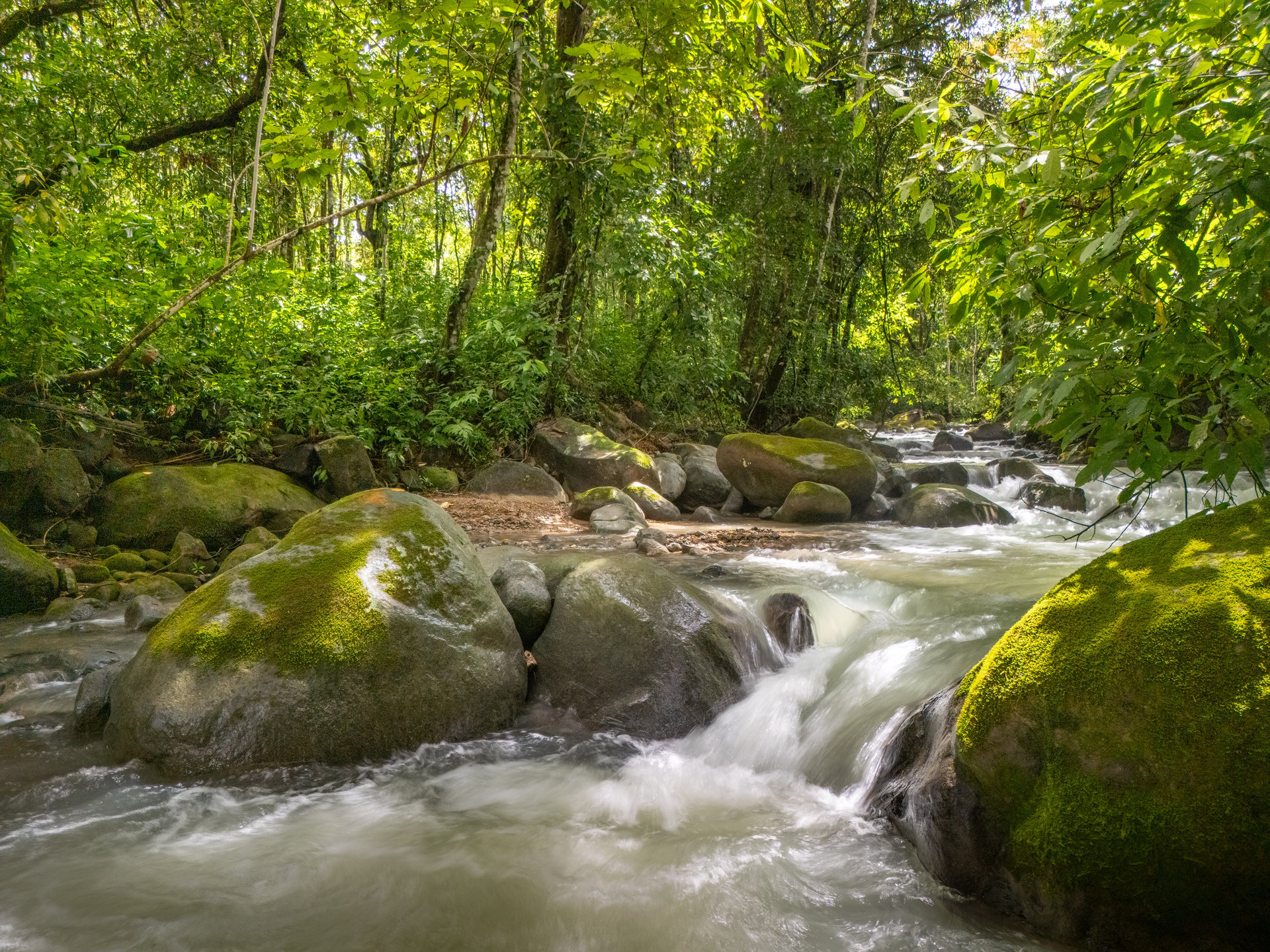 Plant Your Roots at Tierra Bendita! 2.5 Acres, River Frontage, 2 Bedroom Home, Private, Easy Access!