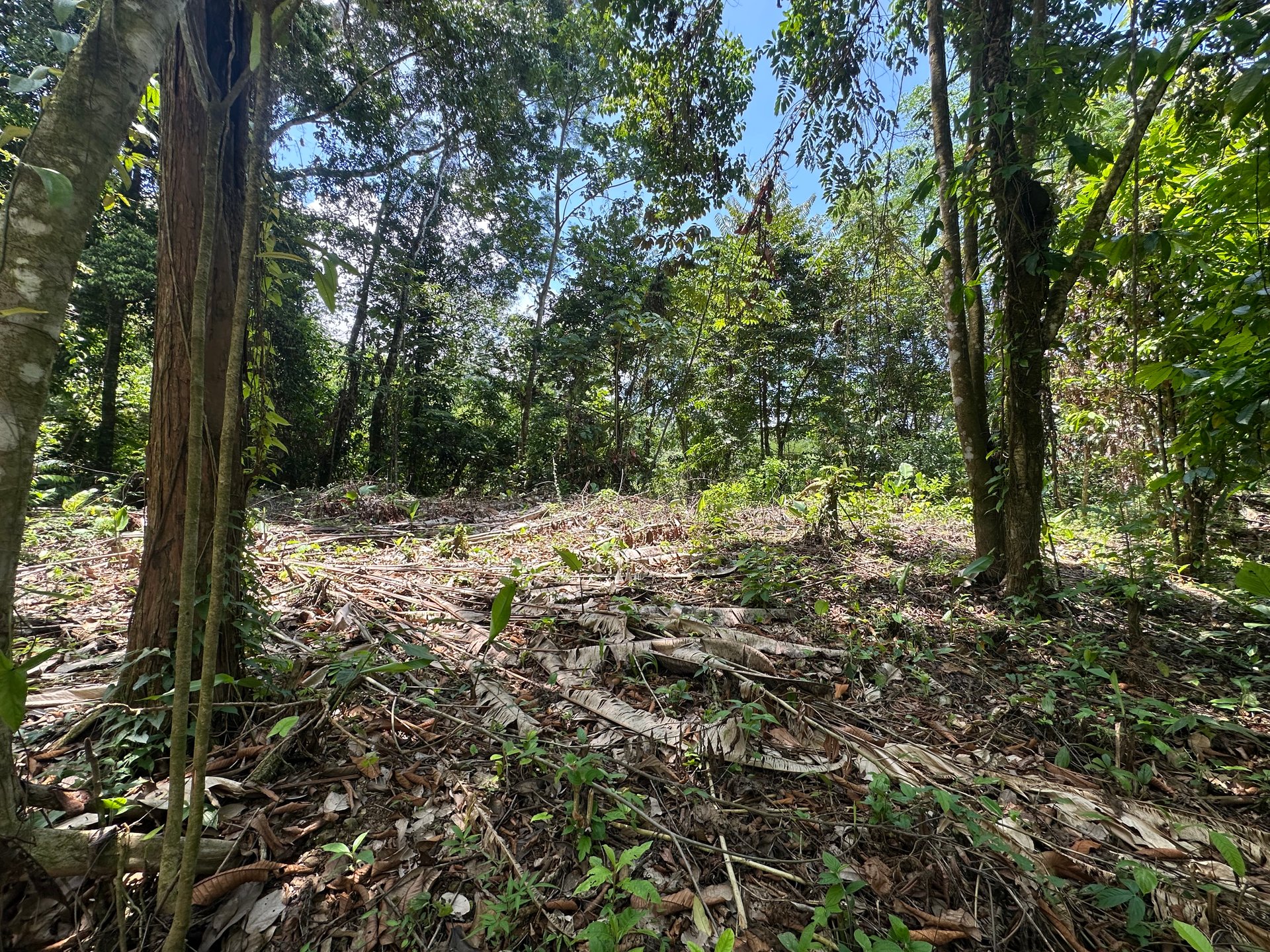 Ocean View Estate Lot with Private Waterfall – Uvita