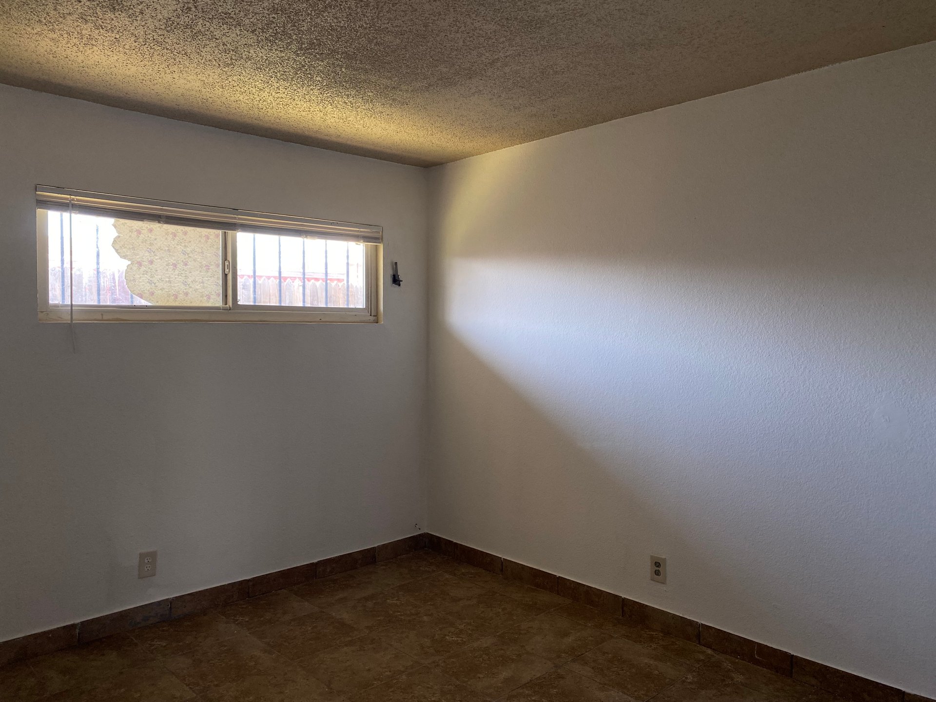 2321 Ellis Street #3