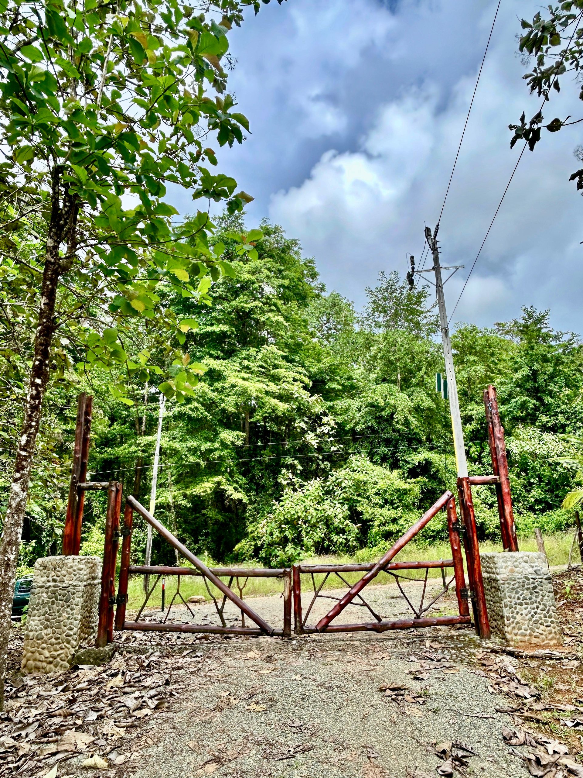 Prime 1.24-Acre Land in Matapalo / San Andrés – Ready to Build