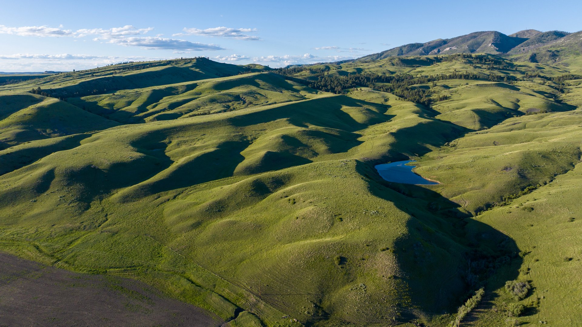 Big Spring Legacy Ranch