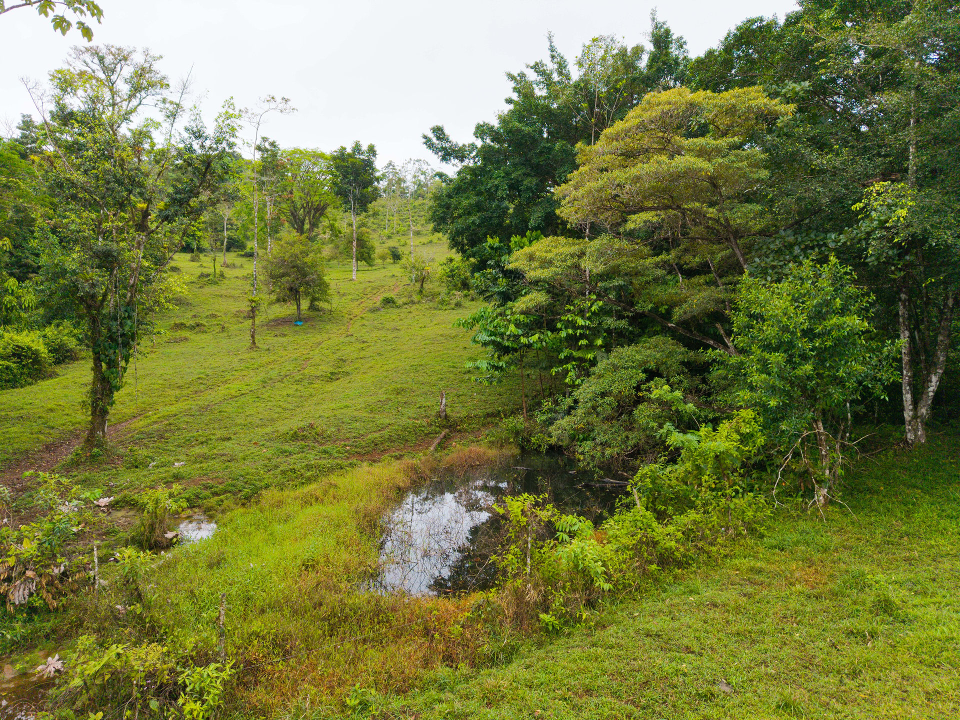 Finca Las Zompopas-Río Celeste | 113-Acre Biodiverse Property in Bijagua, Ideal for Eco-Tourism, Private Retreats, or Sustainable Development