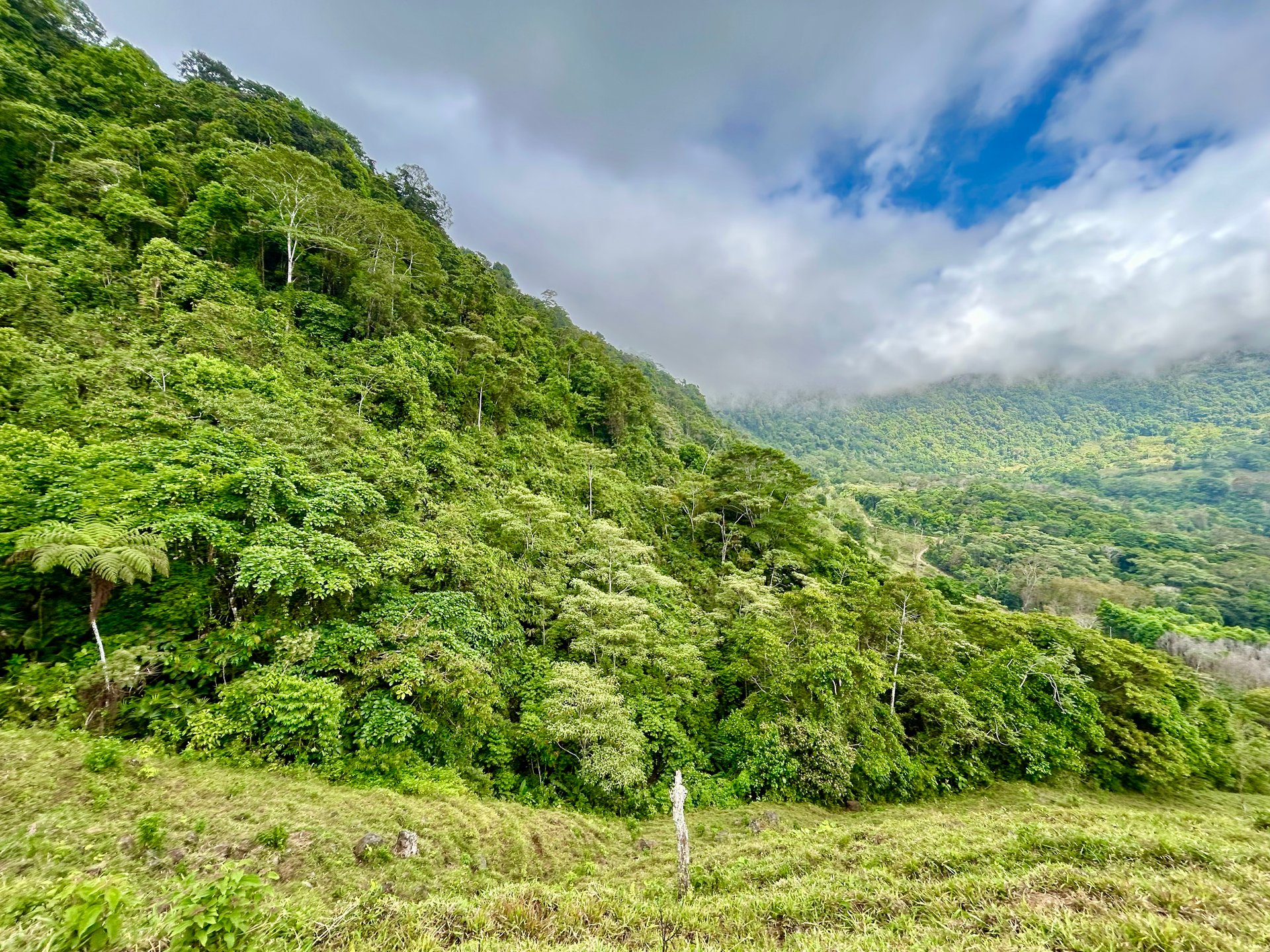 Gorgeous Land in San Luis Morete - Uvita - Over 17 Acres