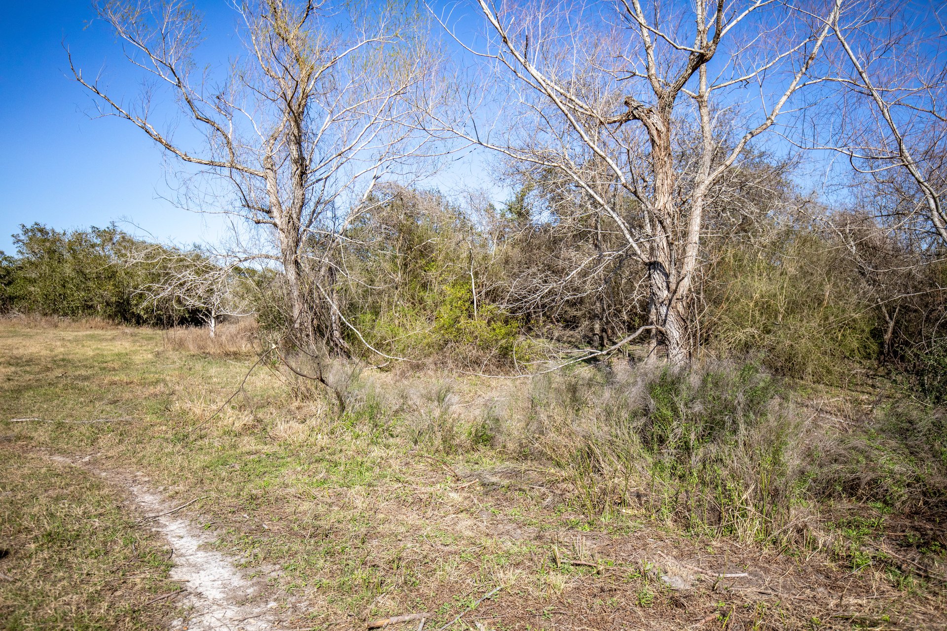 Lamar Peninsula Development Tract |  51.81± Acres | Aransas County