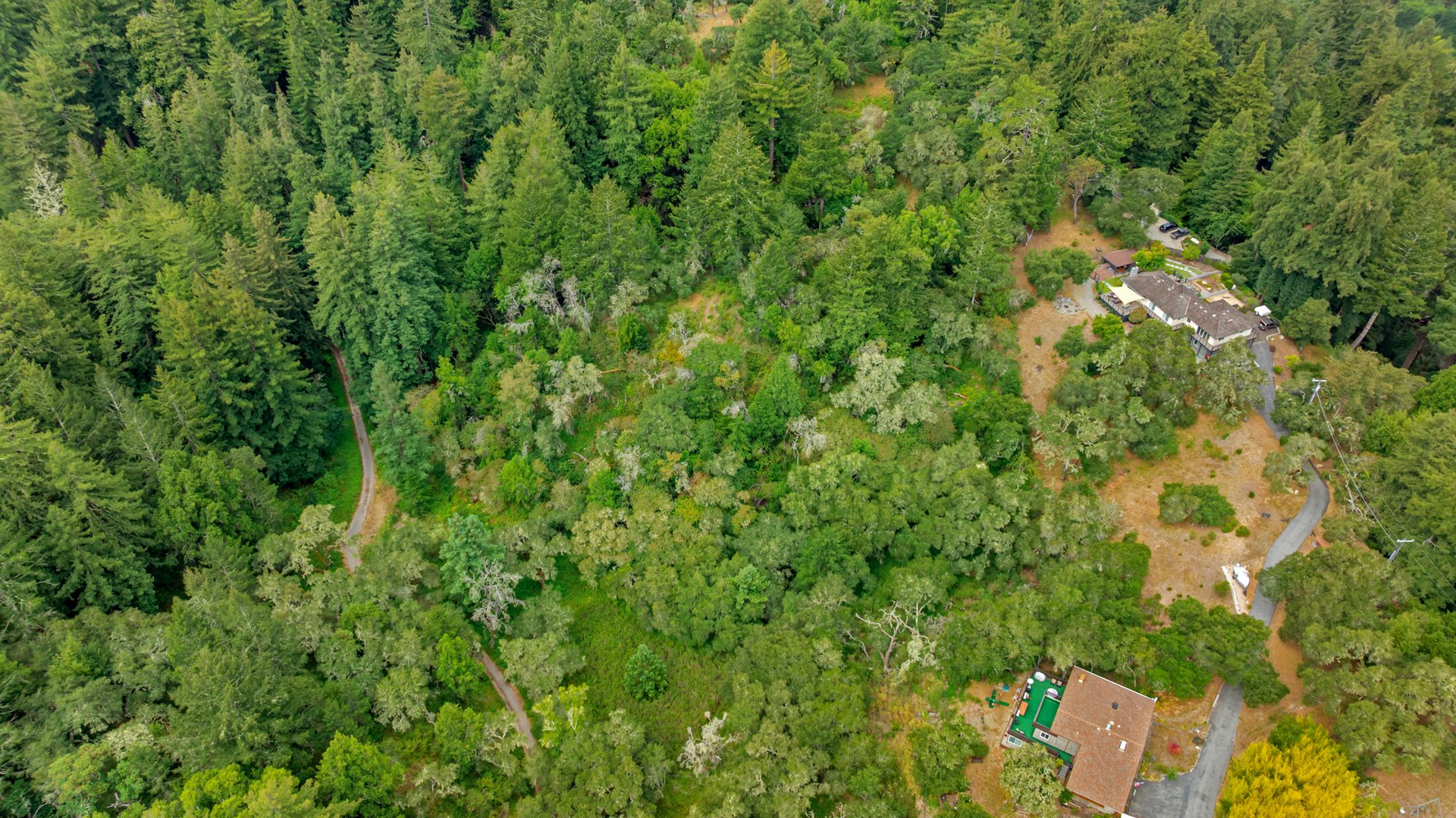 Rare Redwood Acreage in Scotts Valley